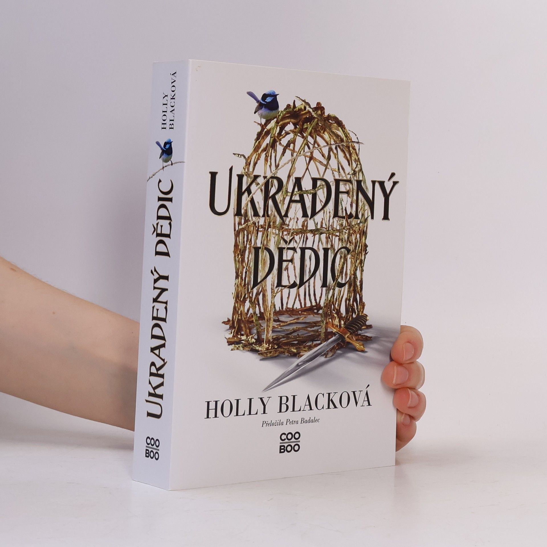 Holly Black Ukradený dědic