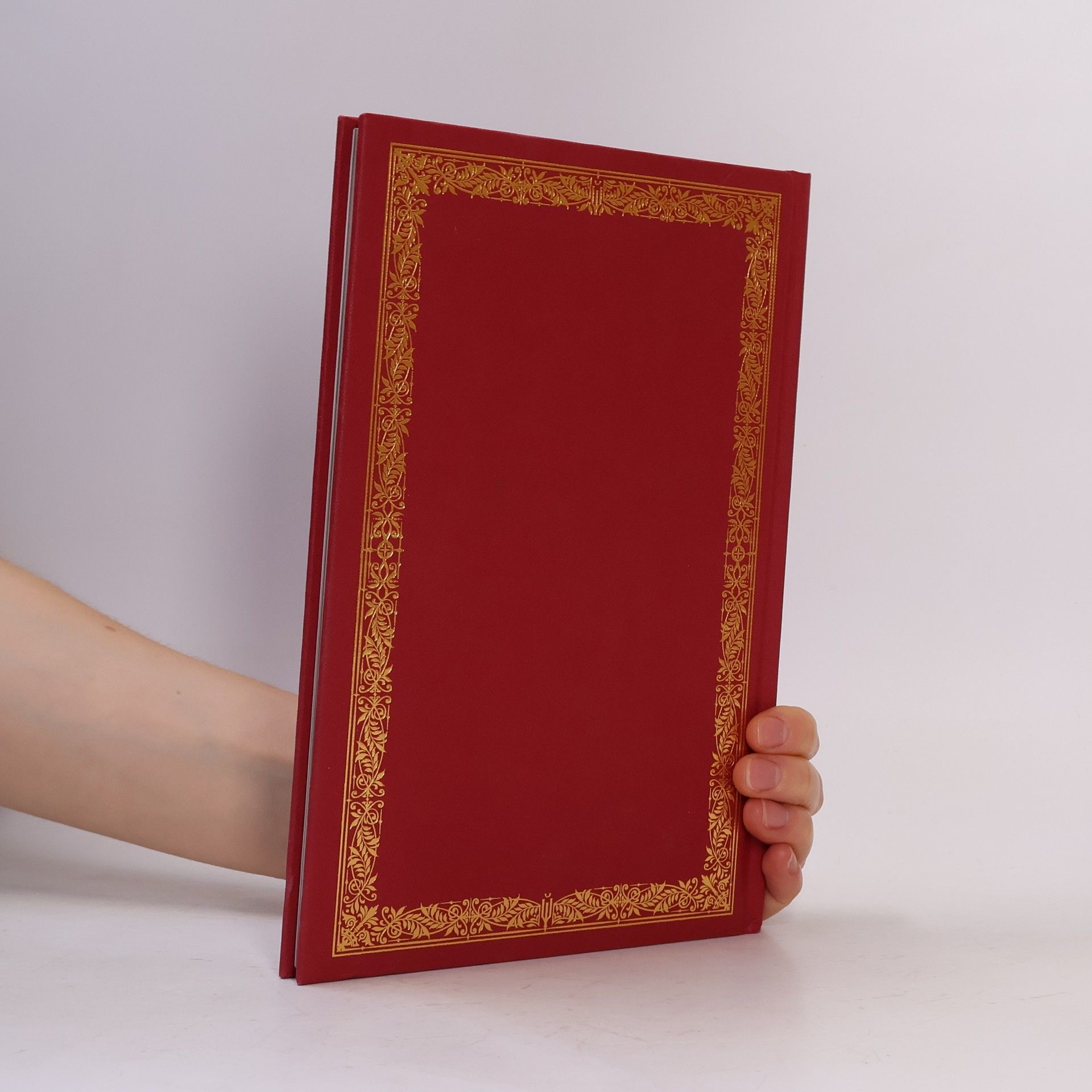 Leigh Bardugo Život svatých