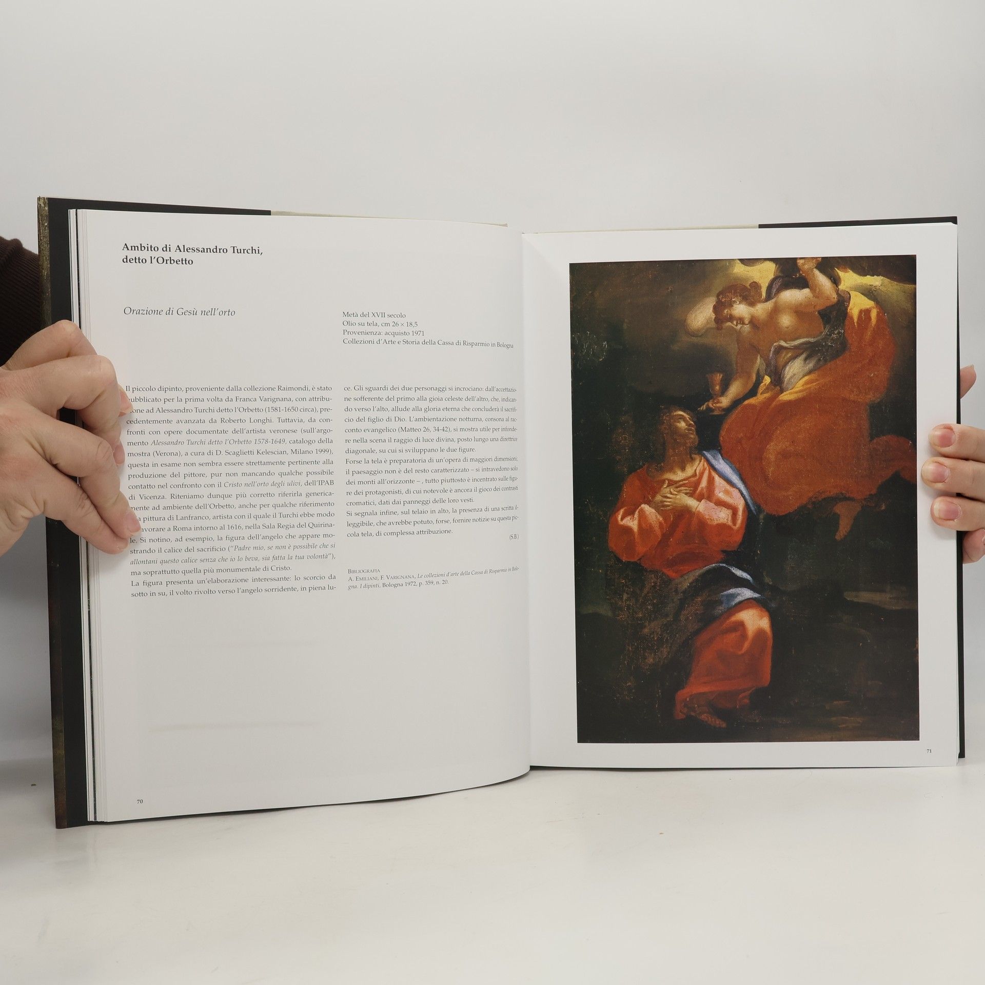 Kolektiv autorů La collezione d'arte