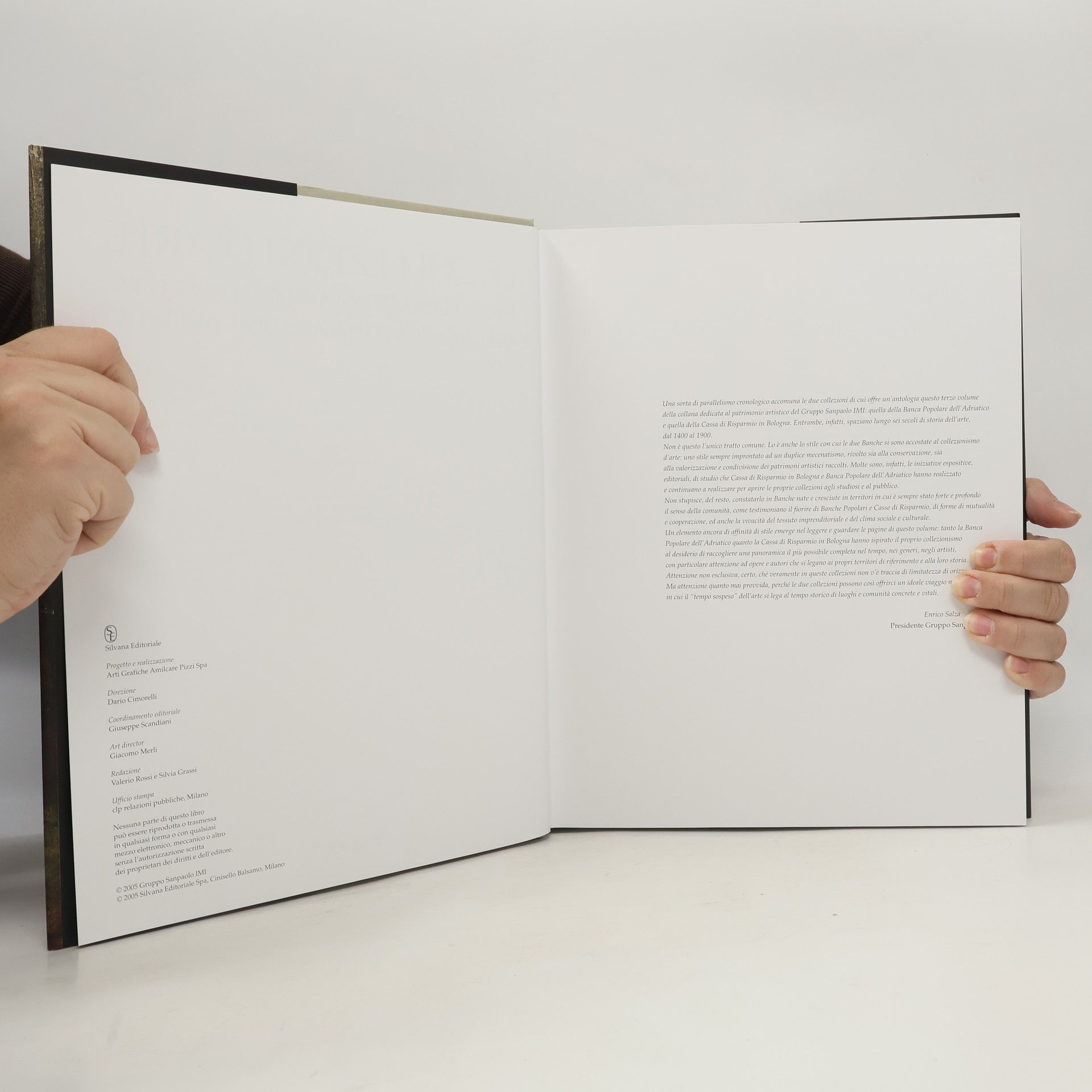 Kolektiv autorů La collezione d'arte