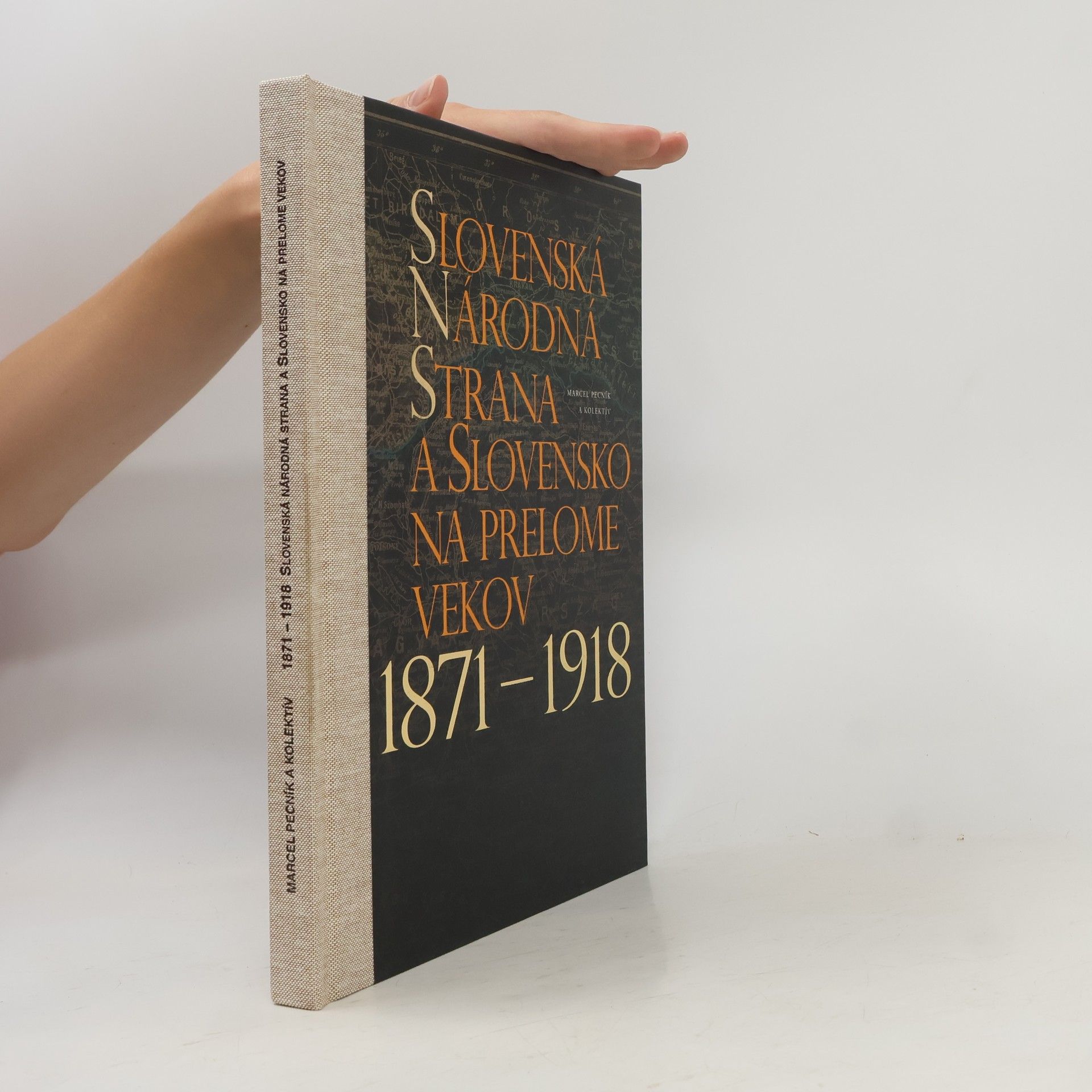 Autorenkollektiv Slovenská národná strana a Slovensko na prelome vekov 1871-1918