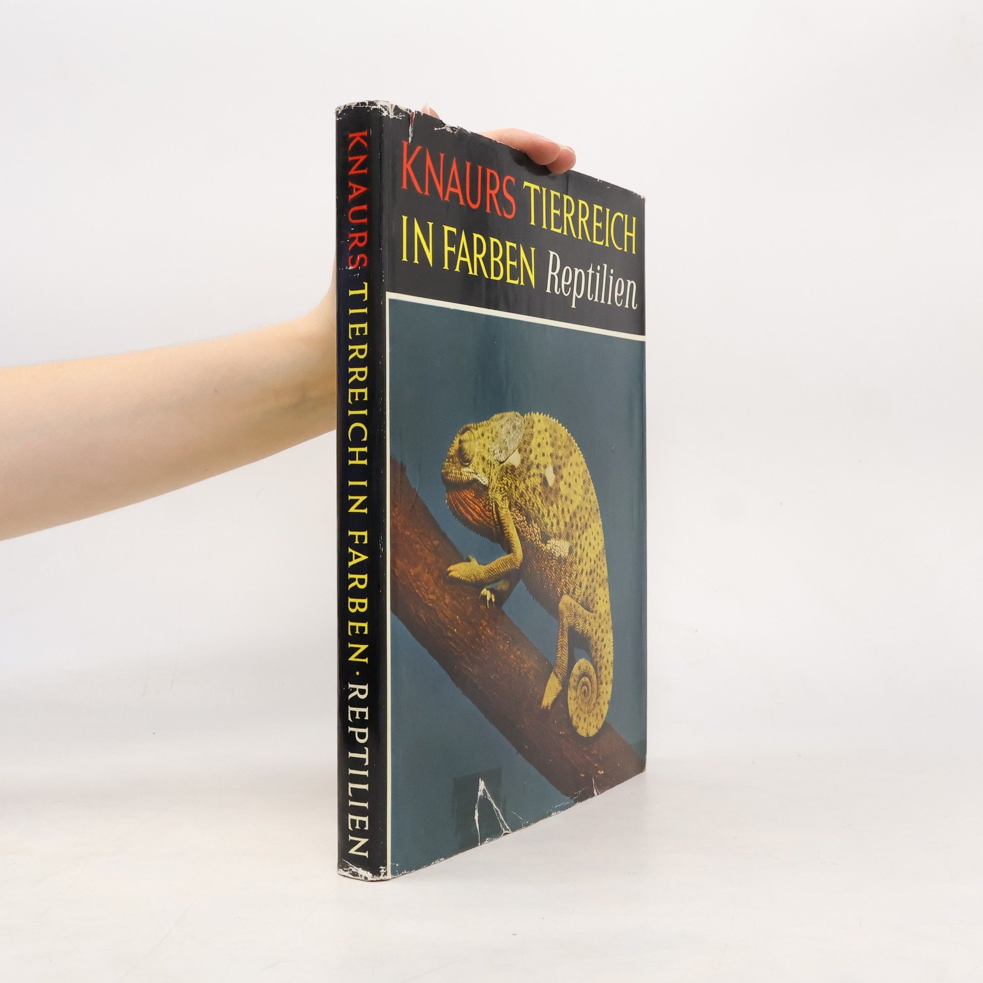 Robert F. Inger Knaurs Tierreich in Farben: Reptilien