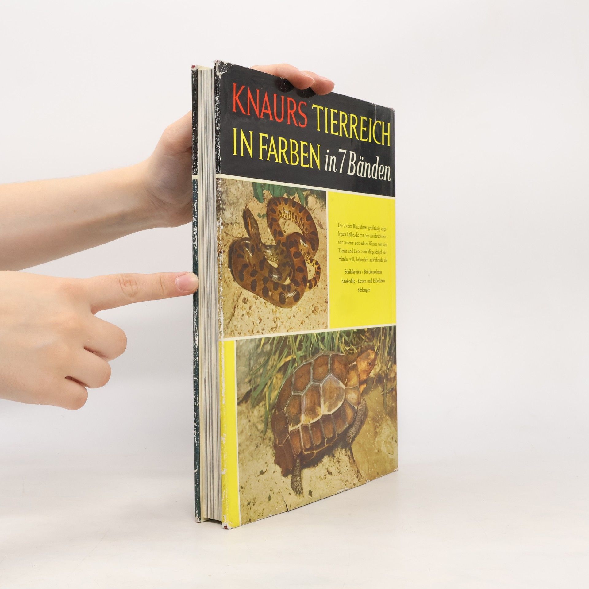 Karl Patterson Schmidt Knaurs Tierreich in Farben: Reptilien