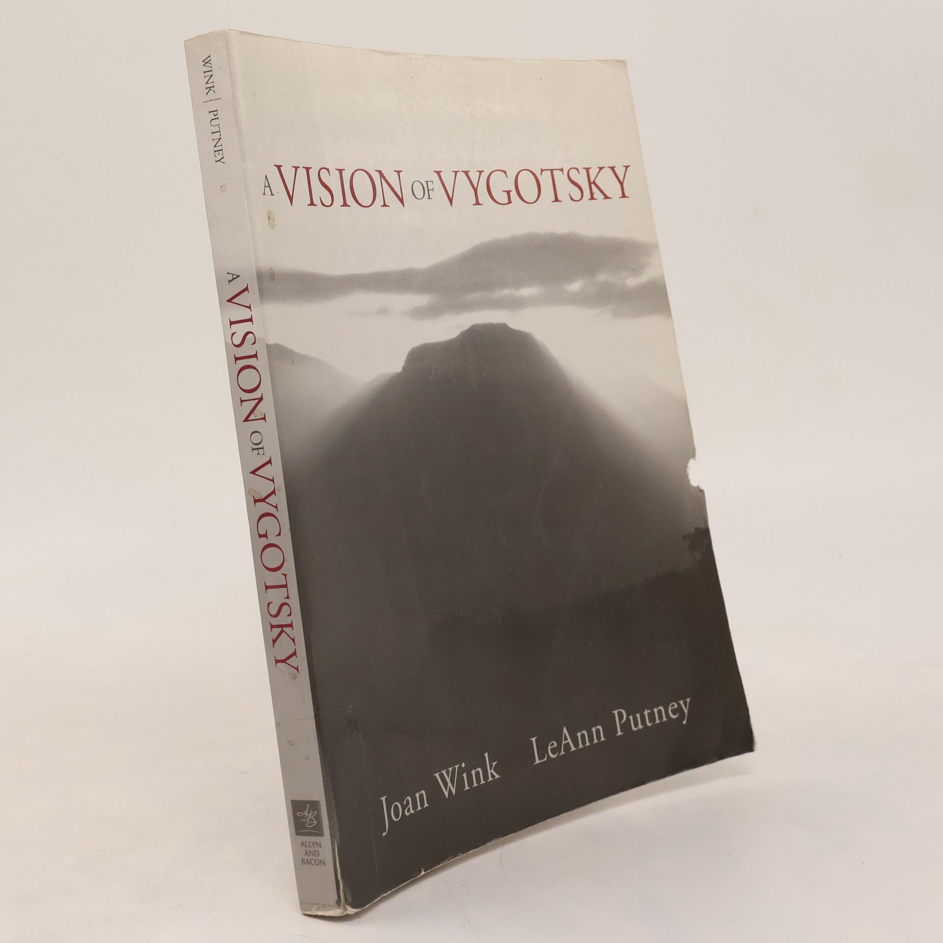 LeAnn G. Putney A Vision of Vygotsky