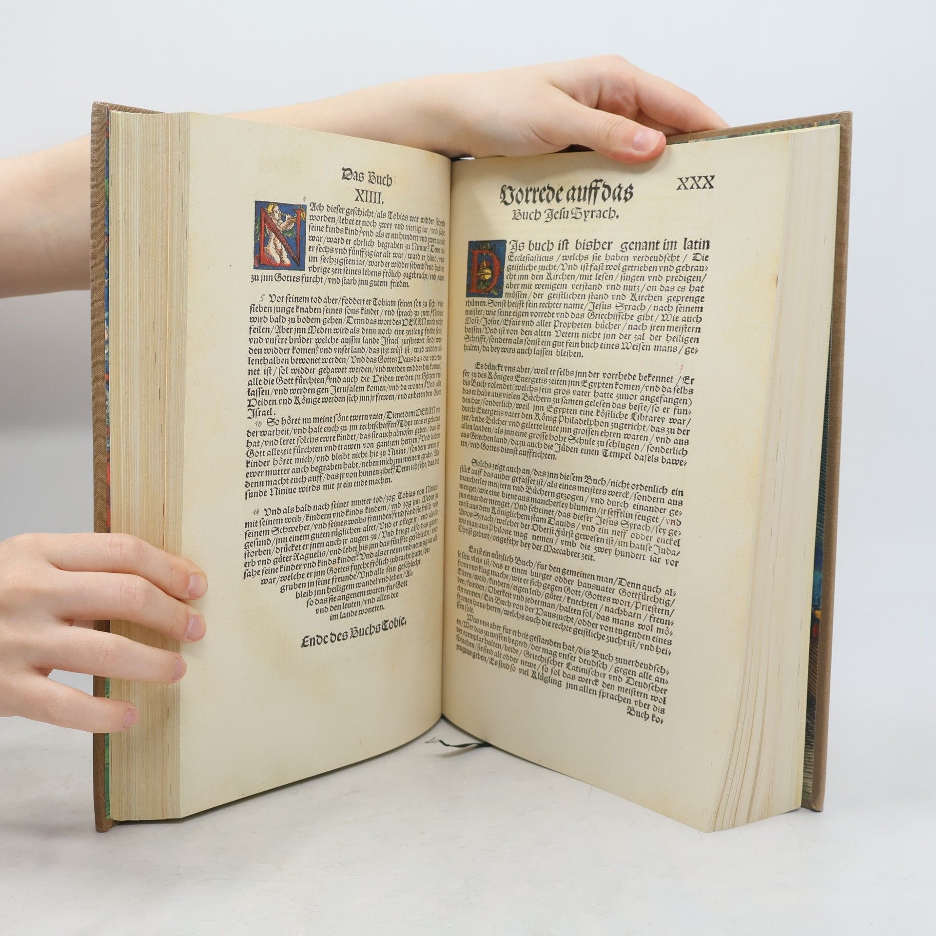 Martin Luther Biblia II.