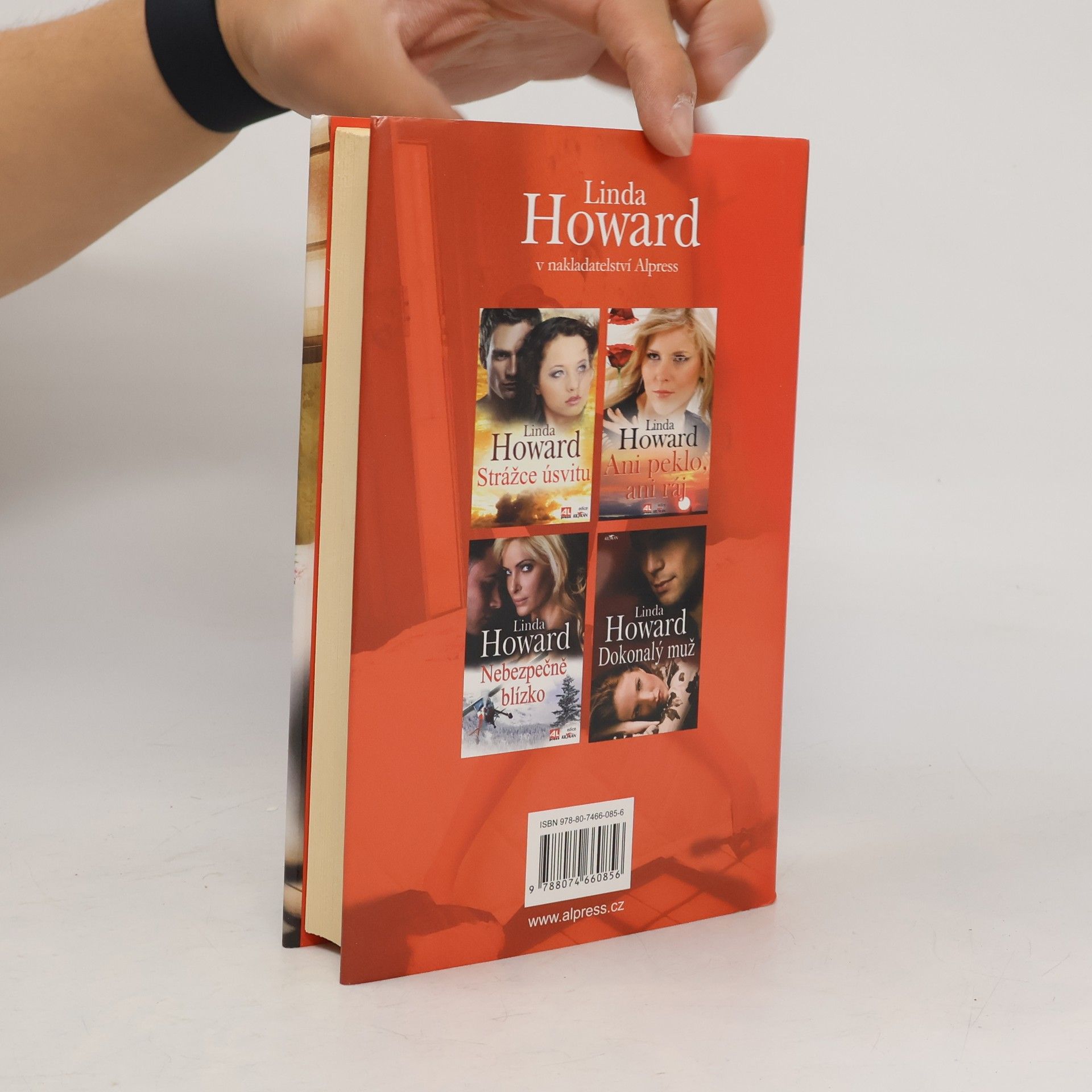 Linda Howard Nebezpečné vyhlídky
