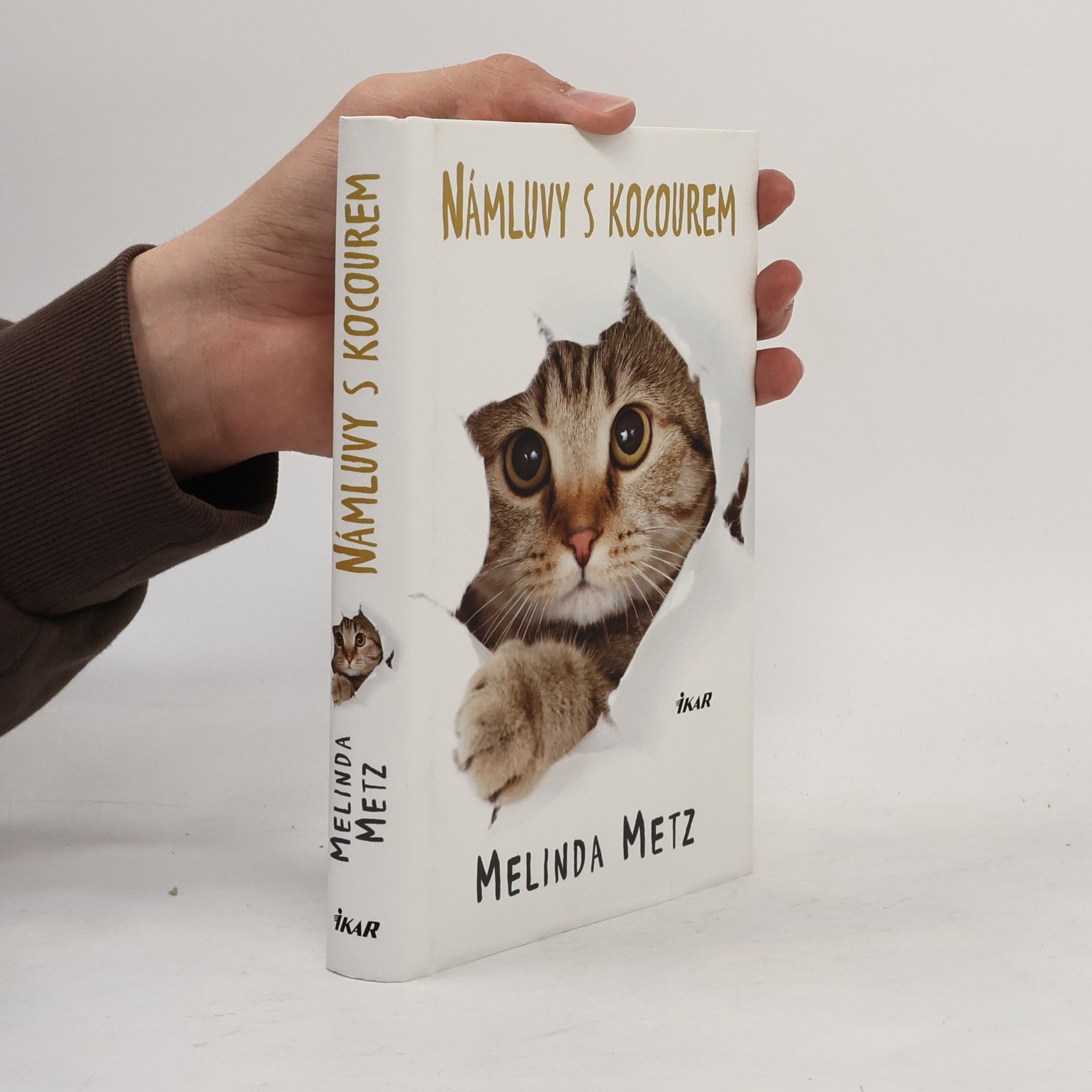 Melinda Metz Námluvy s kocourem