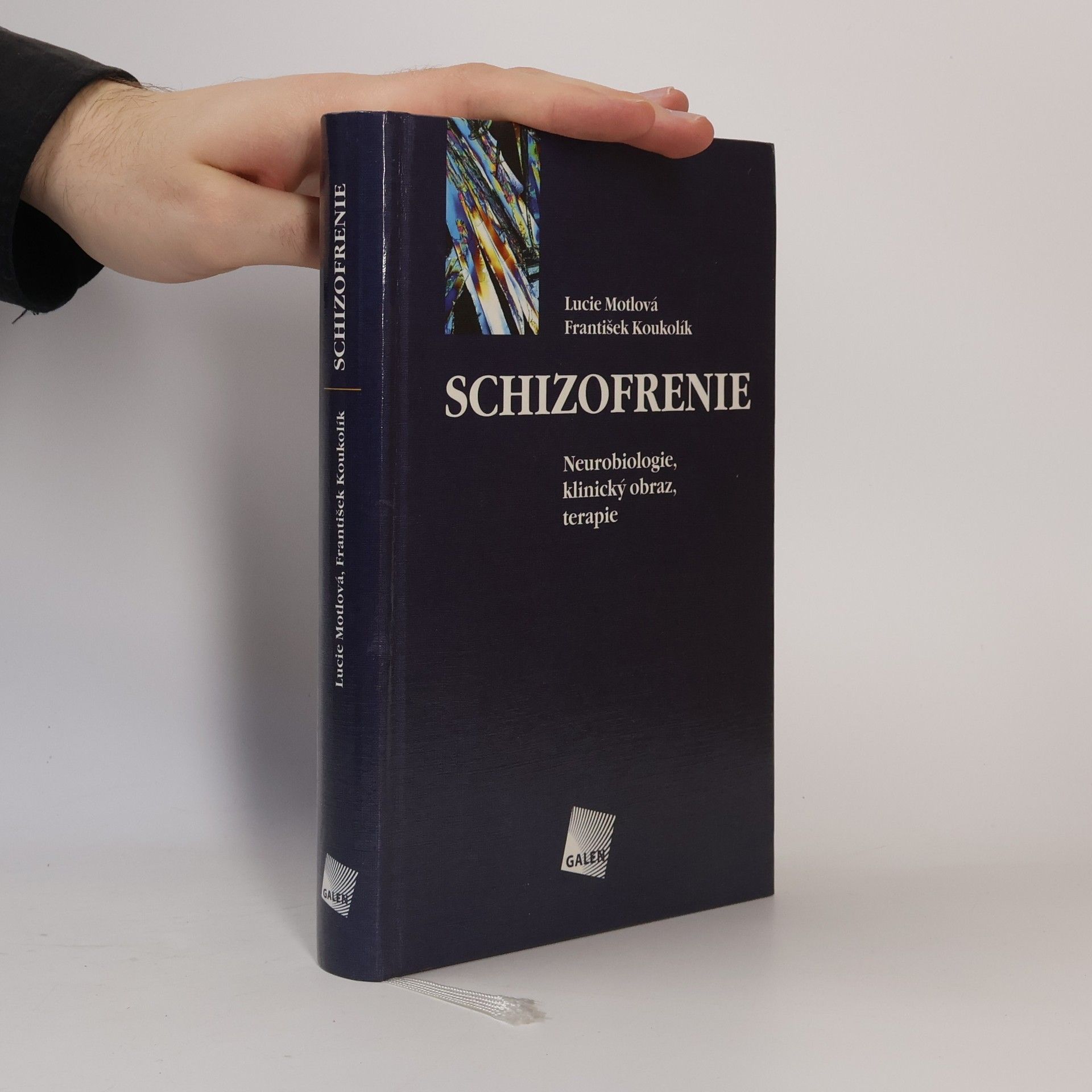 Lucie Bankovská Motlová Schizofrenie - Neurobiologie, klinický obraz, terapie