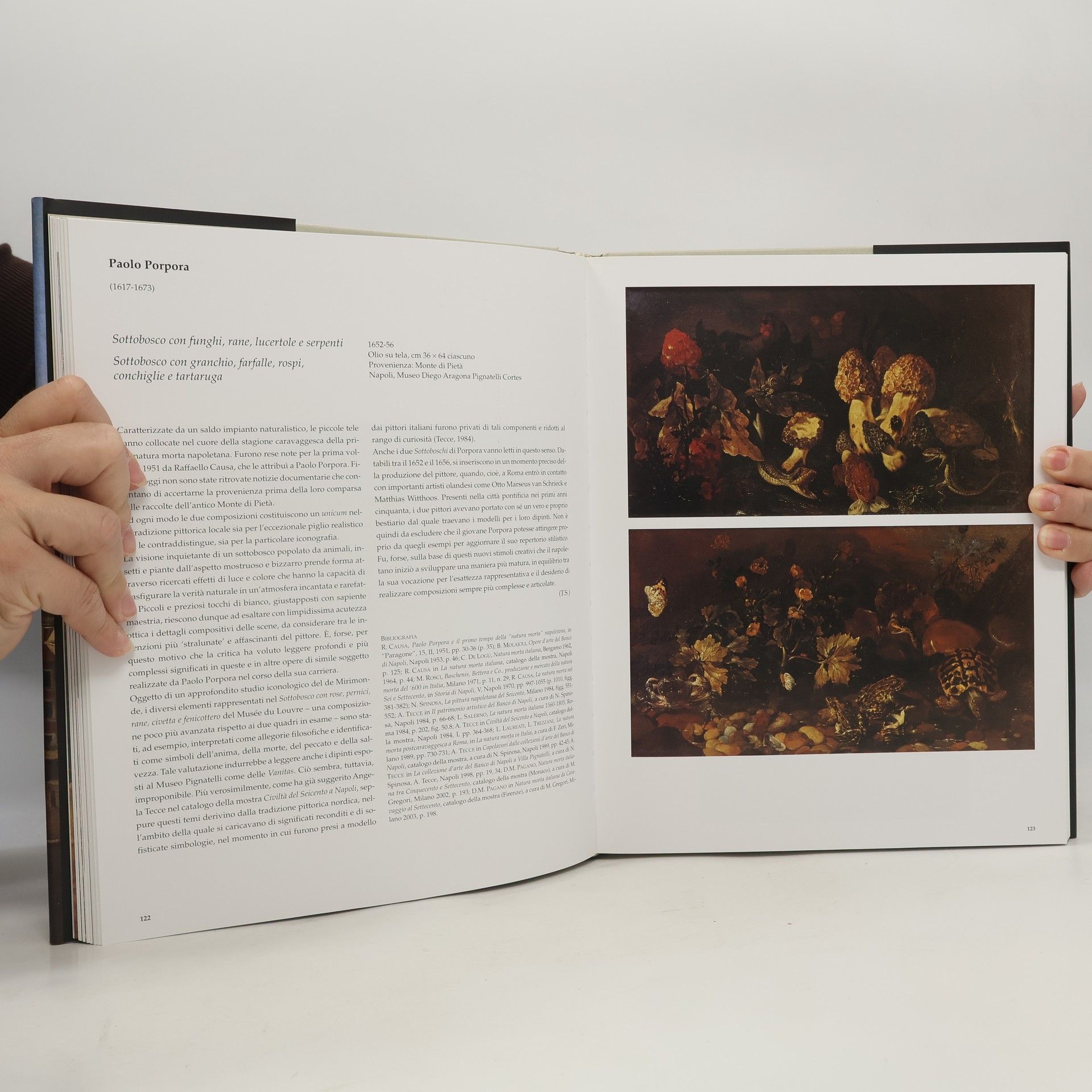 Kolektiv autorů La collezione d'arte del Sanpaolo Banco di Napoli