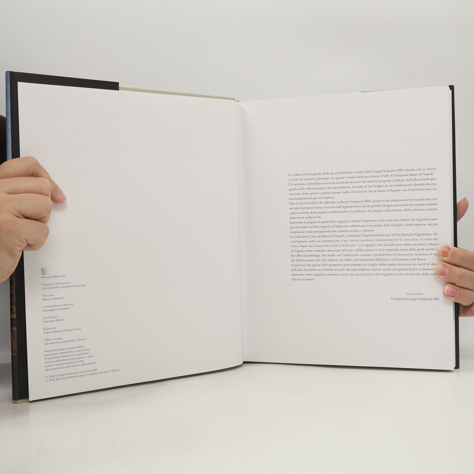 Kolektiv autorů La collezione d'arte del Sanpaolo Banco di Napoli