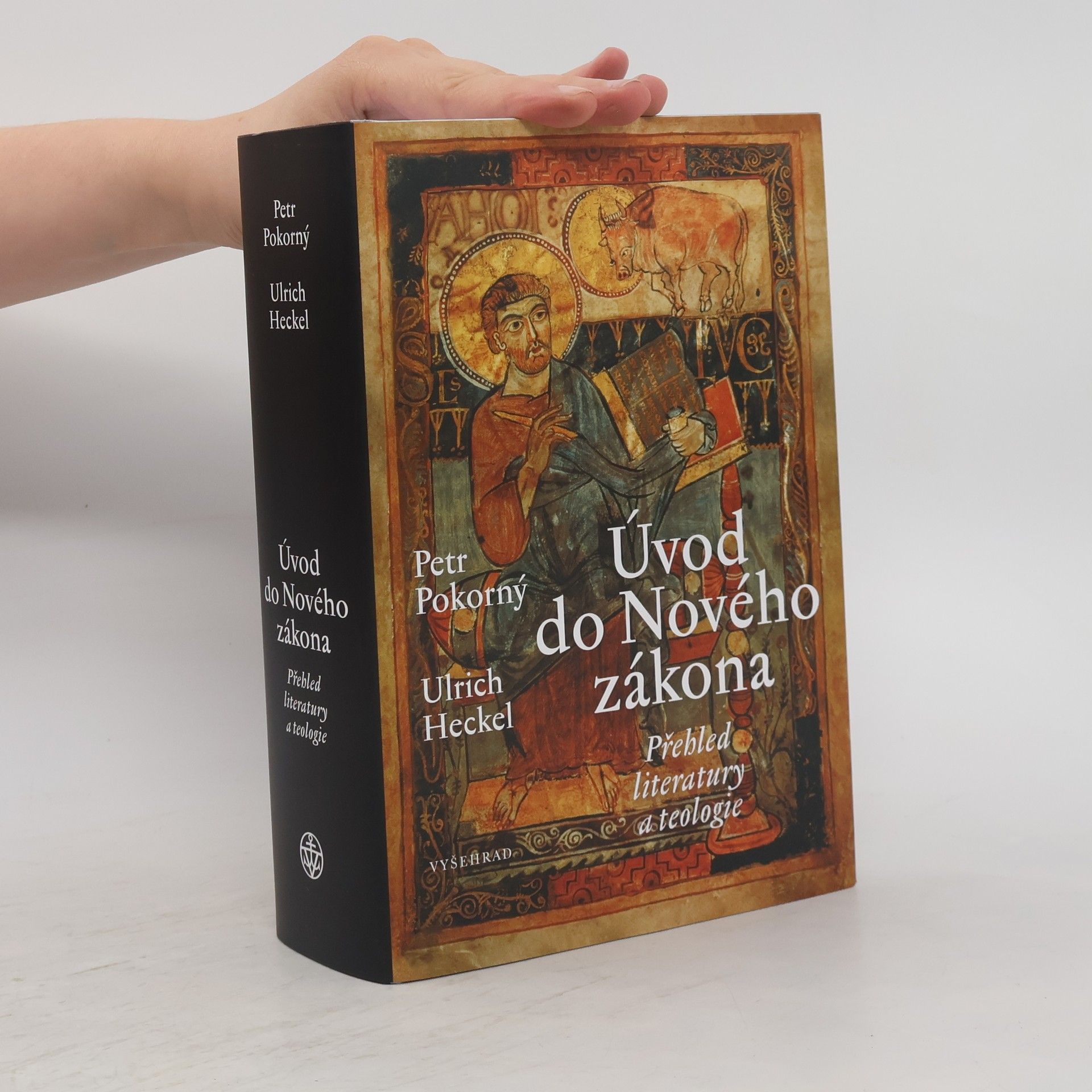Ulrich Heckel Úvod do Nového zákona : Přehled literatury a teologie
