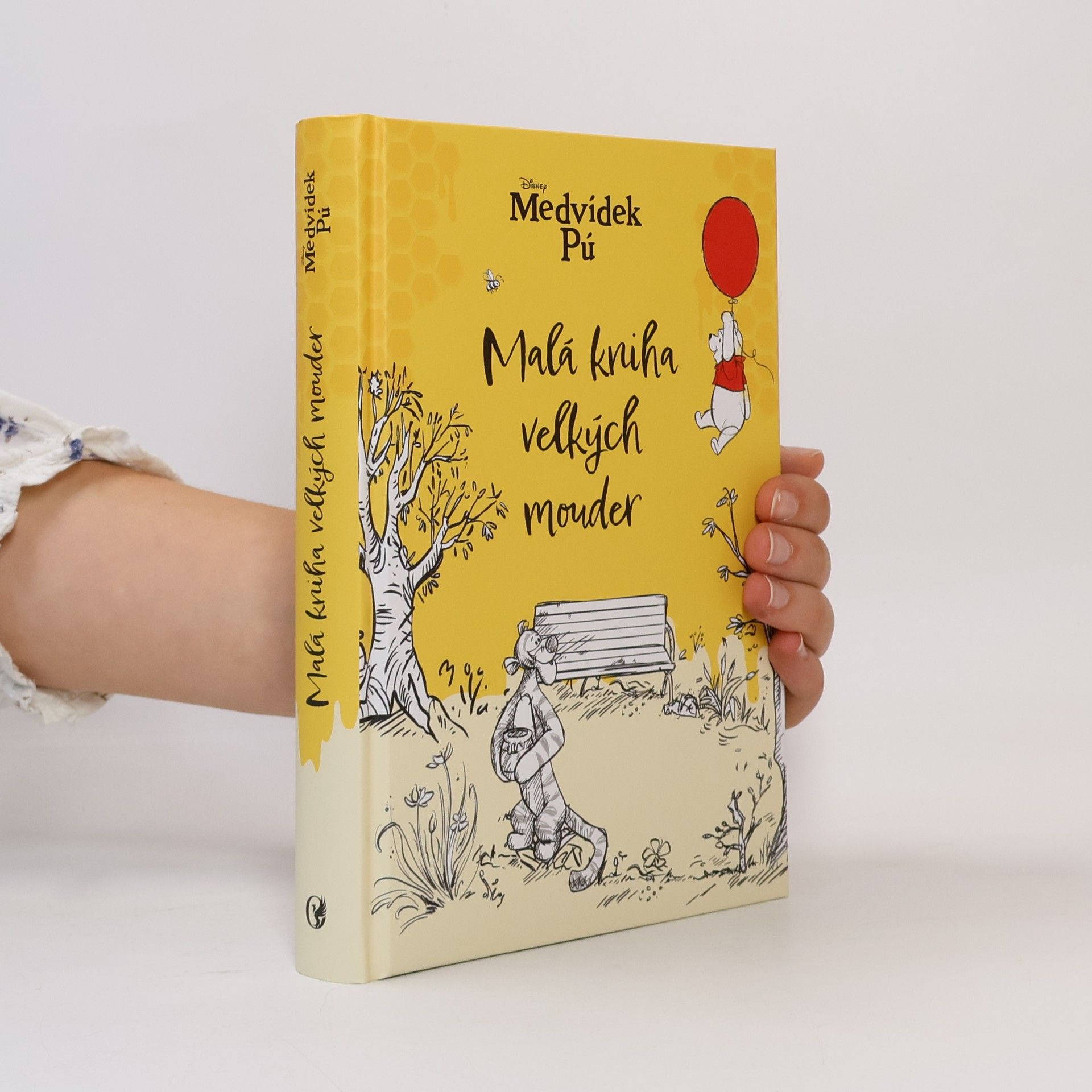 Kolektív autorov Medvídek Pú - Malá kniha velkých mouder