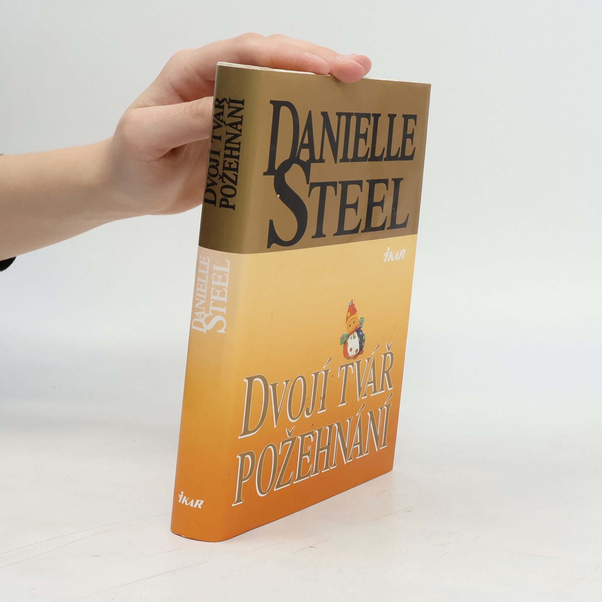 Danielle Steel Dvojí tvář požehnání