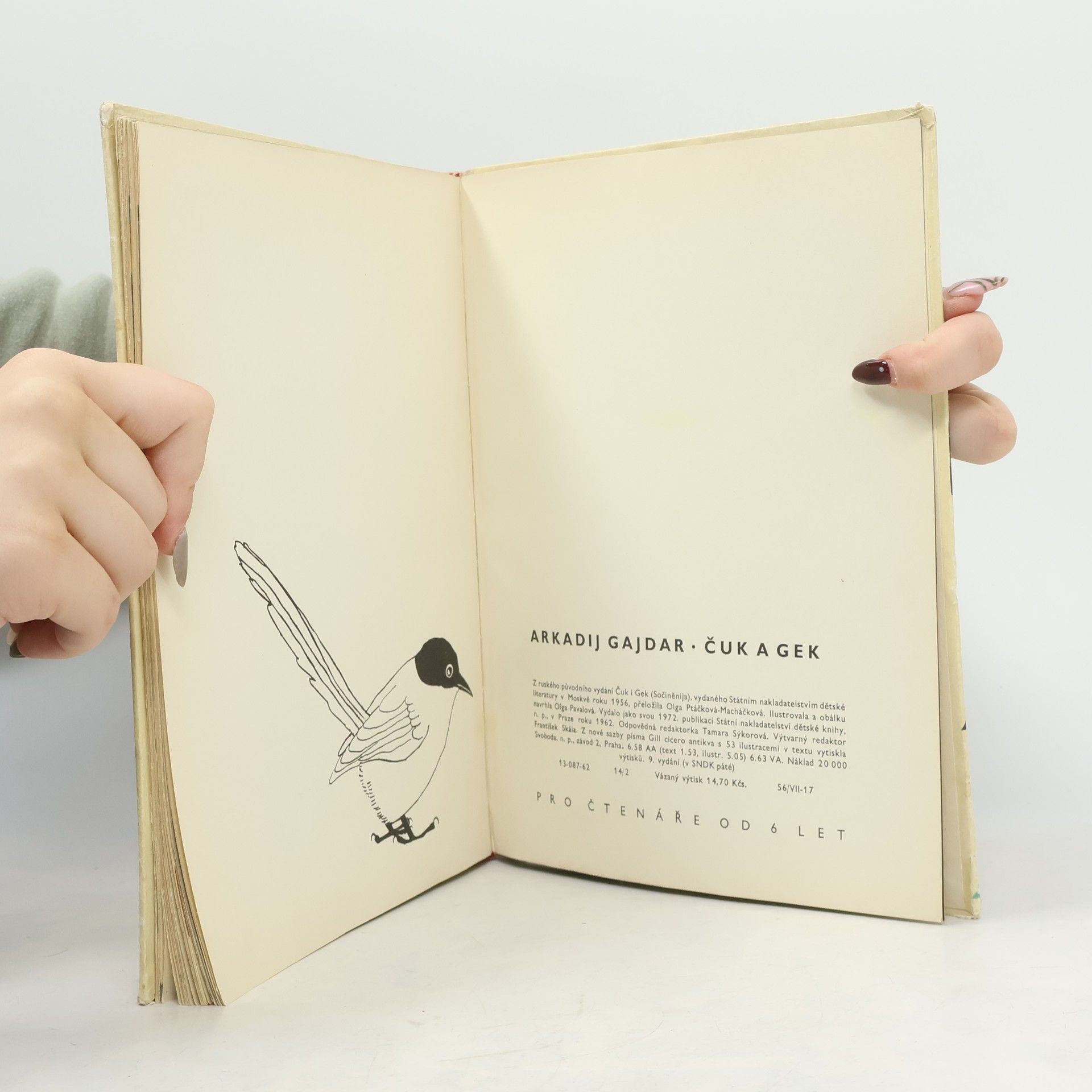 Arkadij Petrovič Gajdar Čuk a Gek