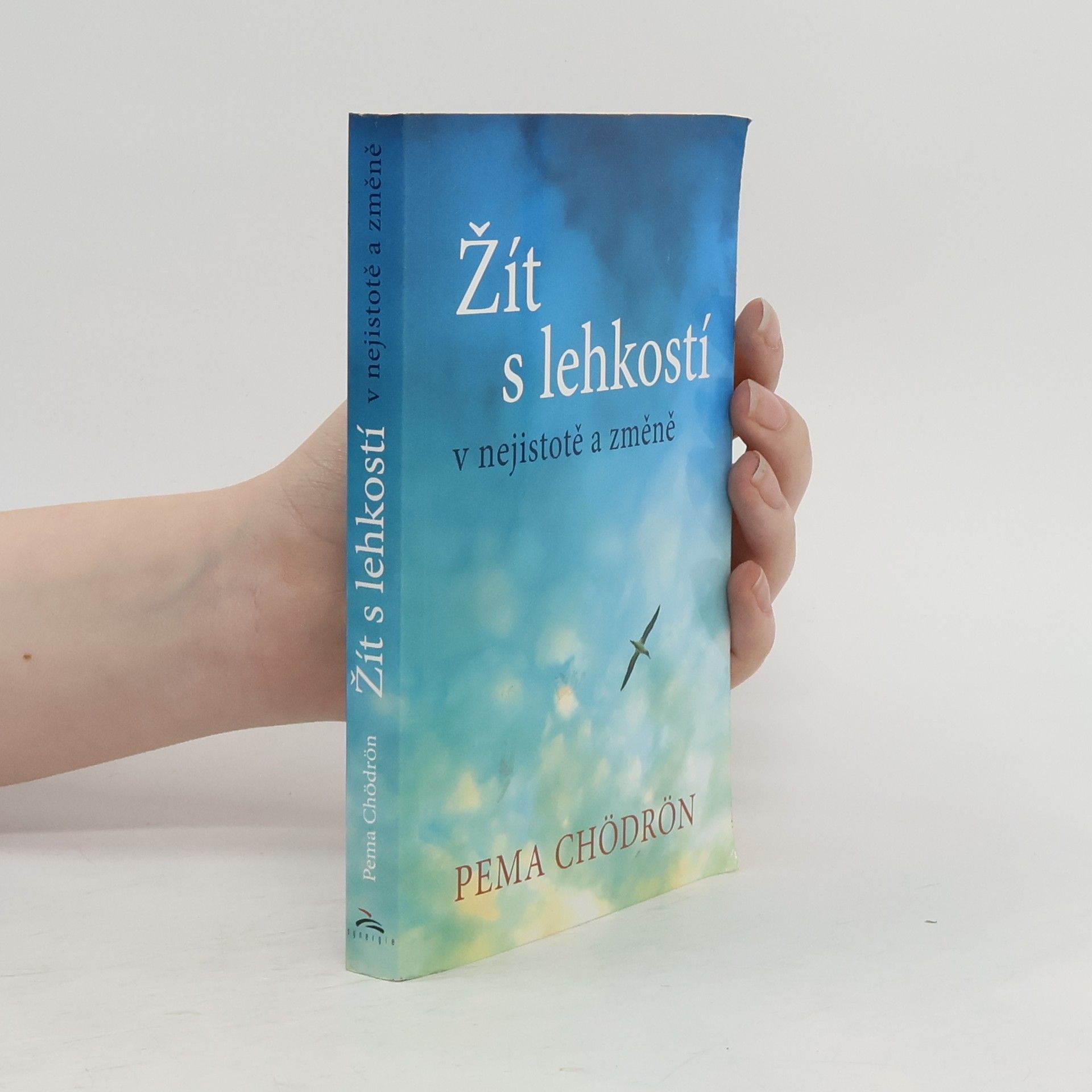 Pema Chödrön Žít s lehkostí