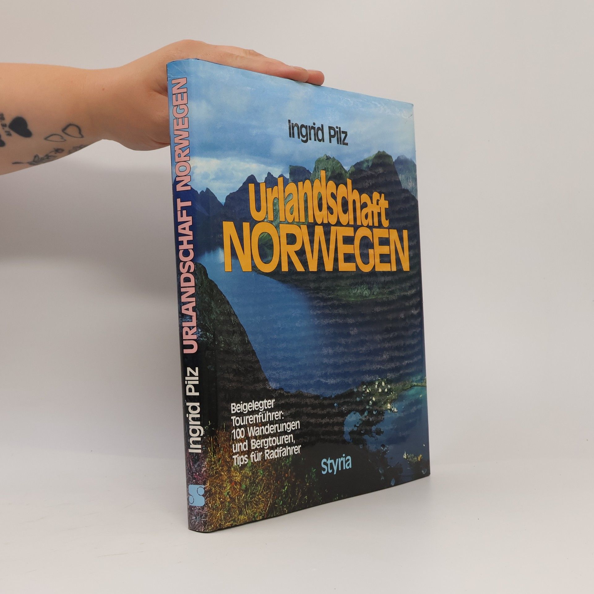 Ingrid Pilz Urlandschaft Norwegen