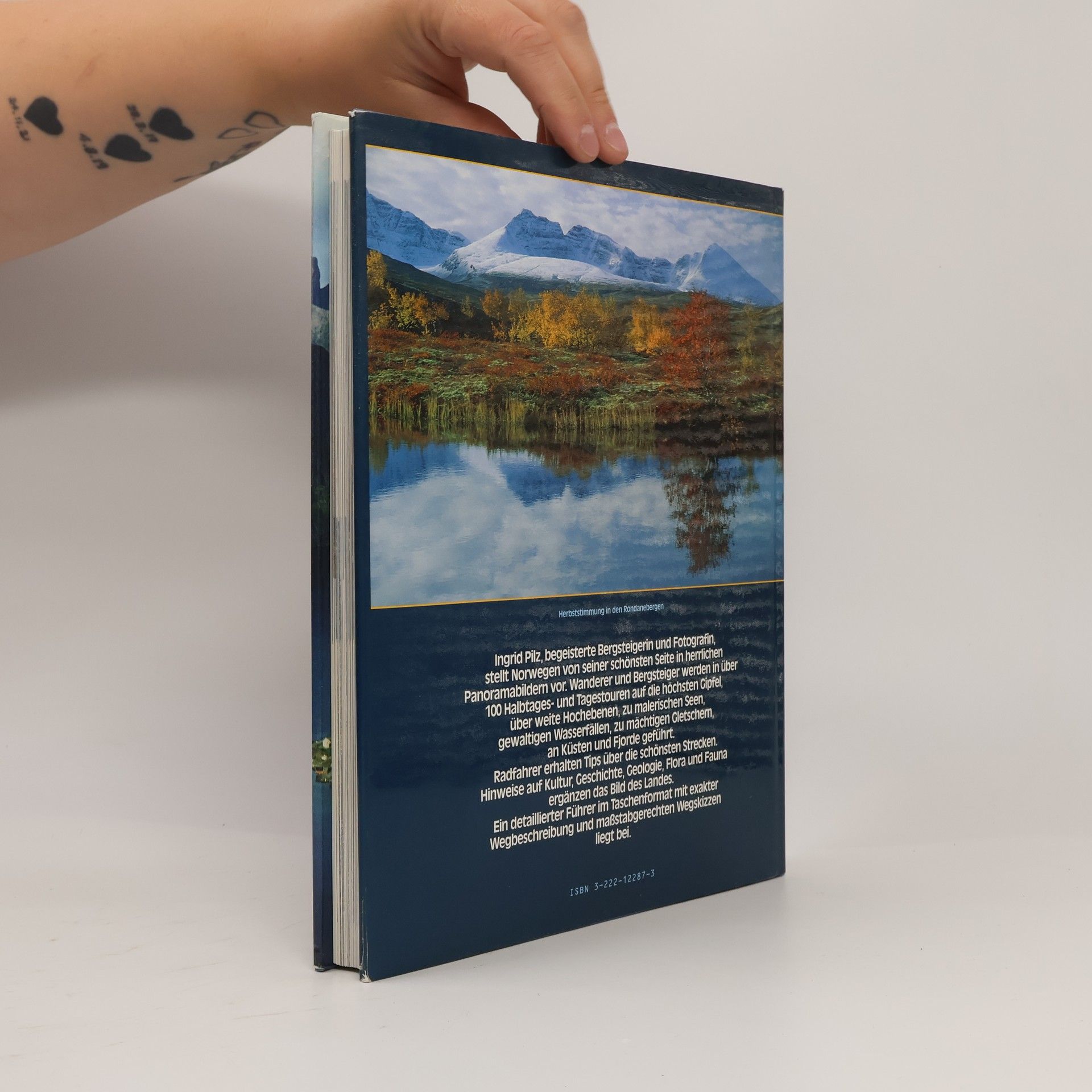 Ingrid Pilz Urlandschaft Norwegen