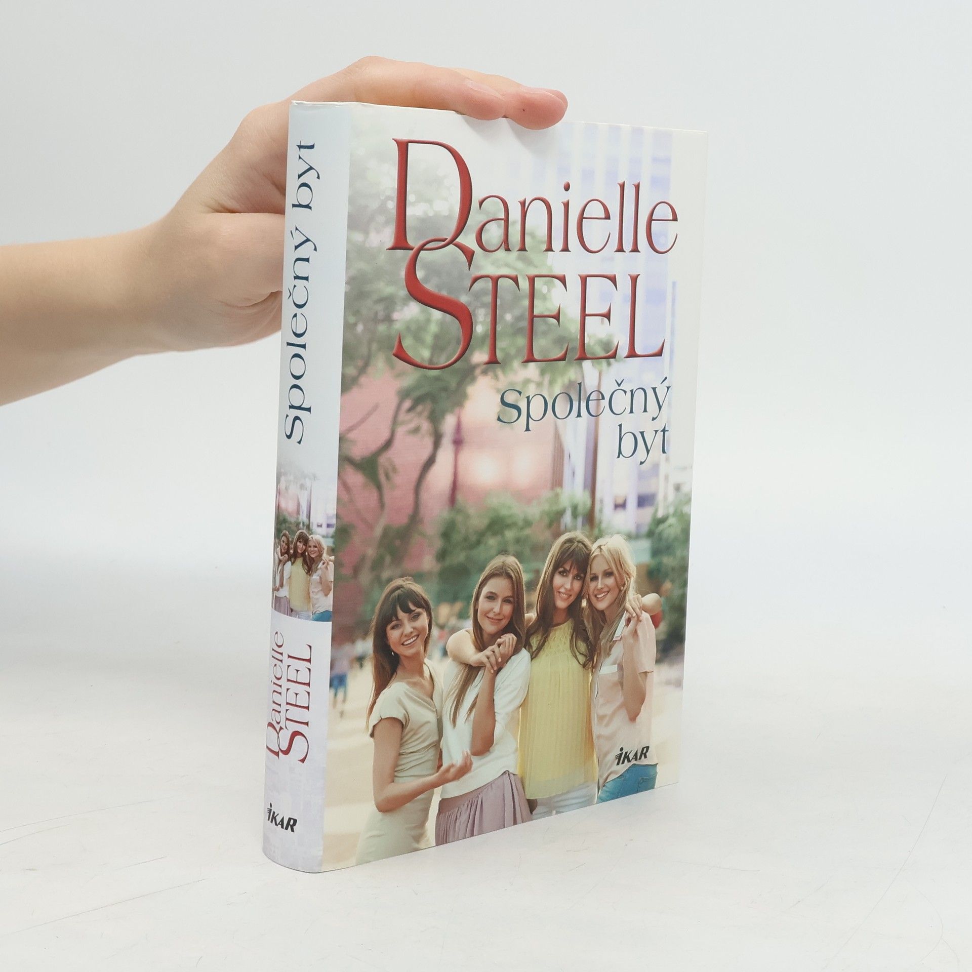 Danielle Steel Společný byt