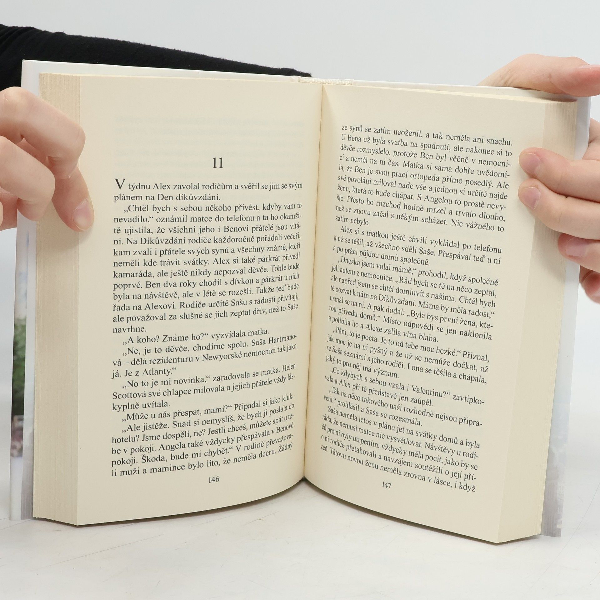 Danielle Steel Společný byt