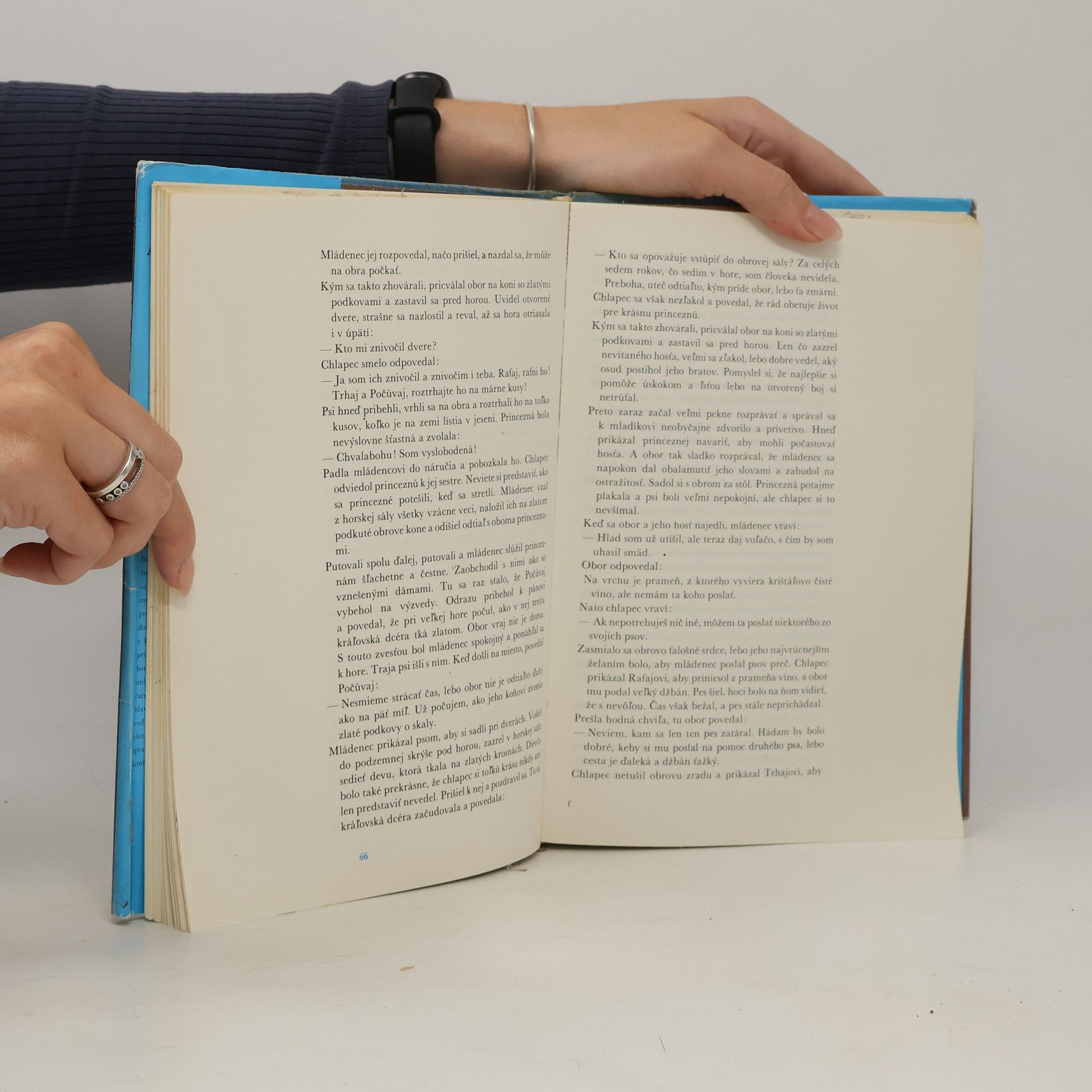 Autorenkollektiv Palček a obor