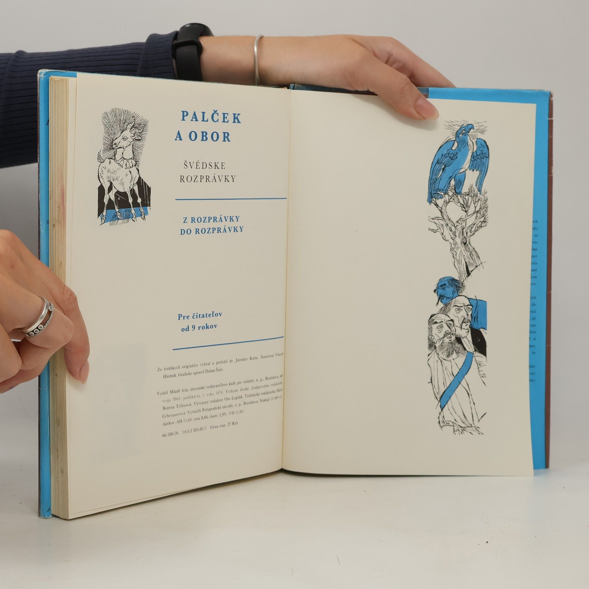 Autorenkollektiv Palček a obor