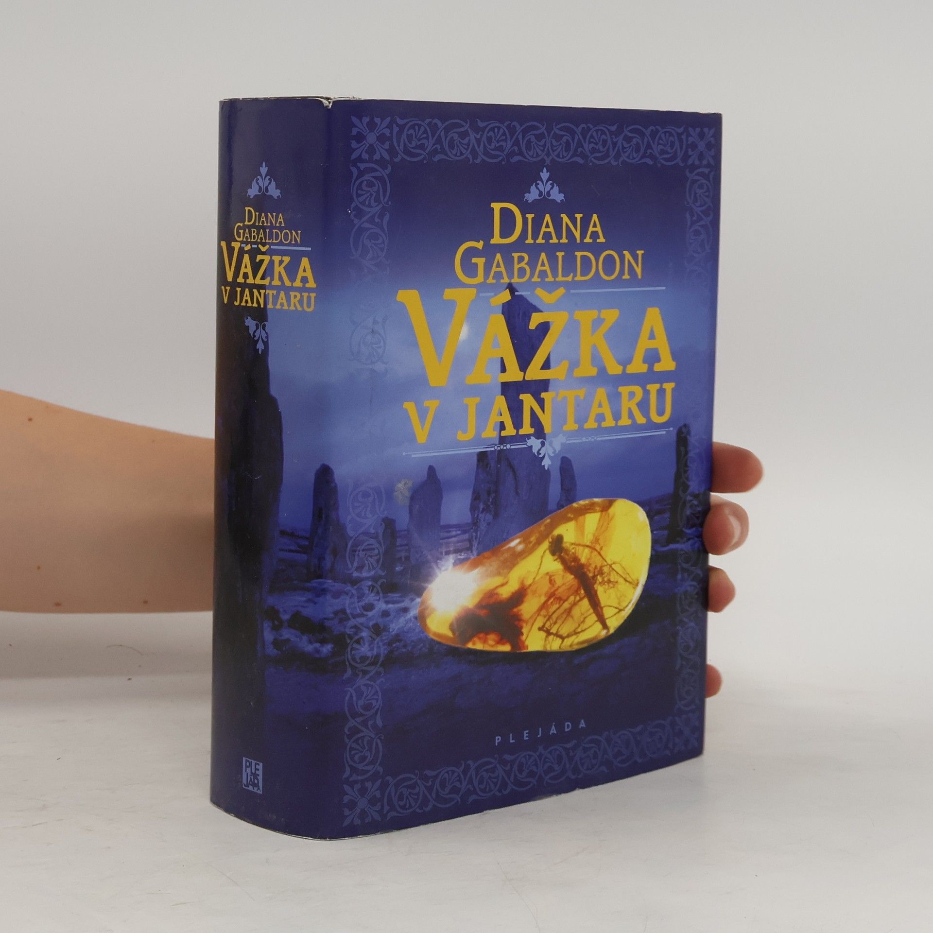 Diana Gabaldon Vážka v jantaru