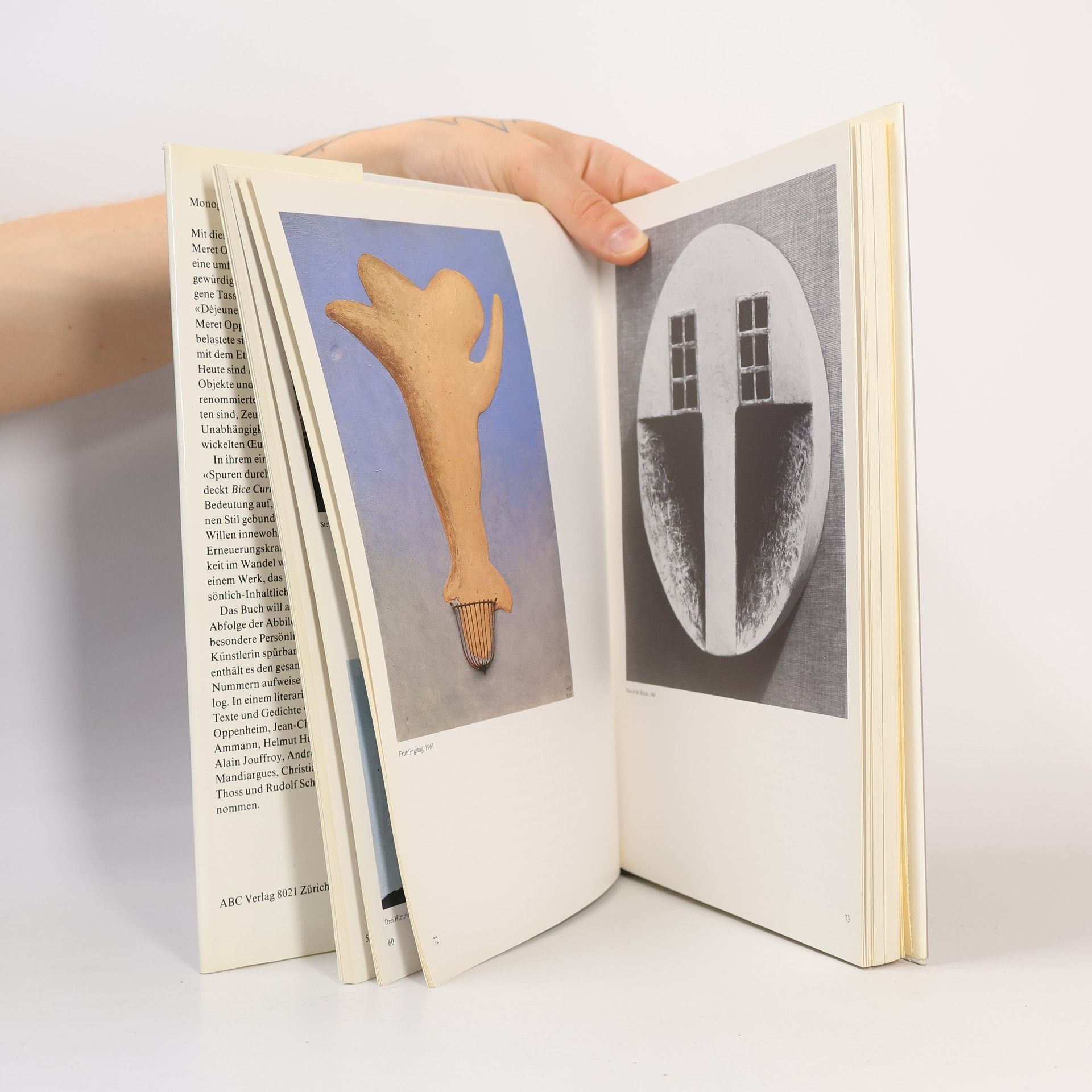 Bice Curiger Meret Oppenheim