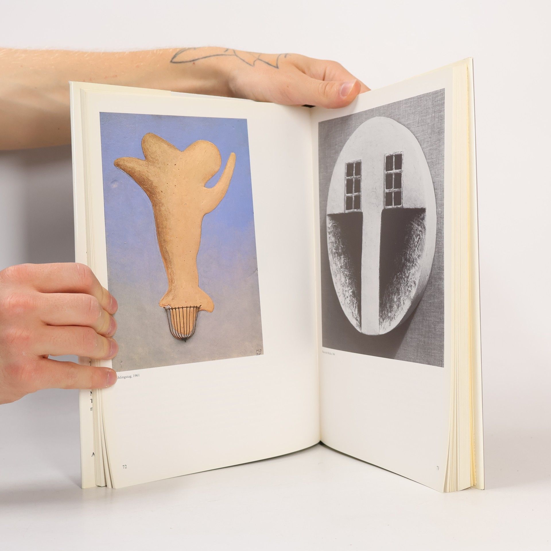 Bice Curiger Meret Oppenheim