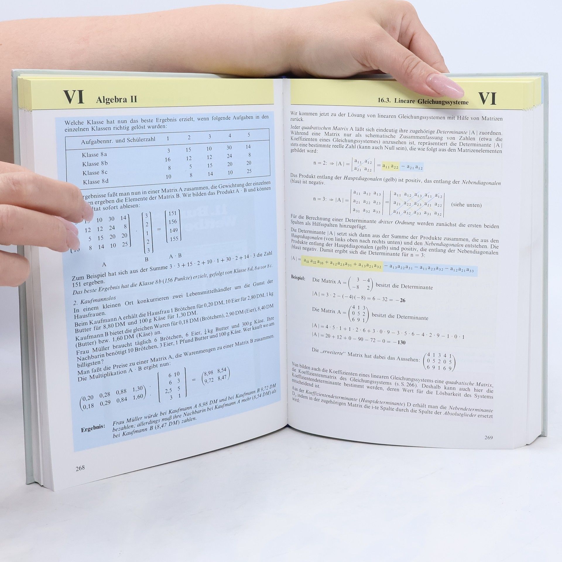 Róbert Müller Mathematik verständlich