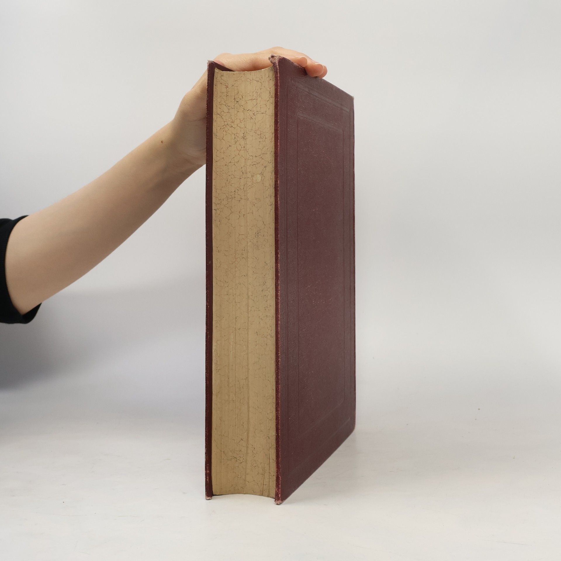 Giuseppe Rigutini Neues italienisch-deutsches und deutsch-italienisches Wörterbuch