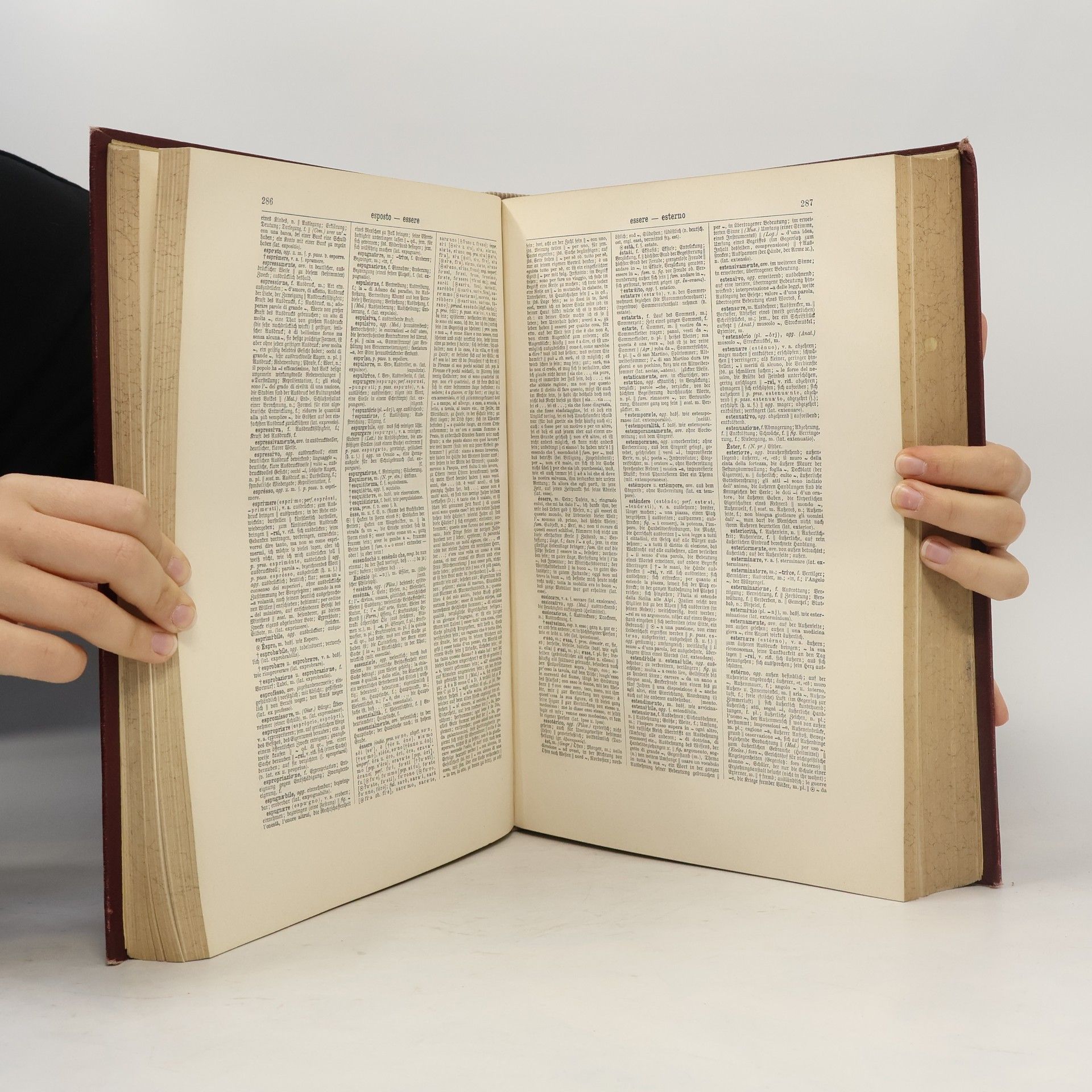 Giuseppe Rigutini Neues italienisch-deutsches und deutsch-italienisches Wörterbuch