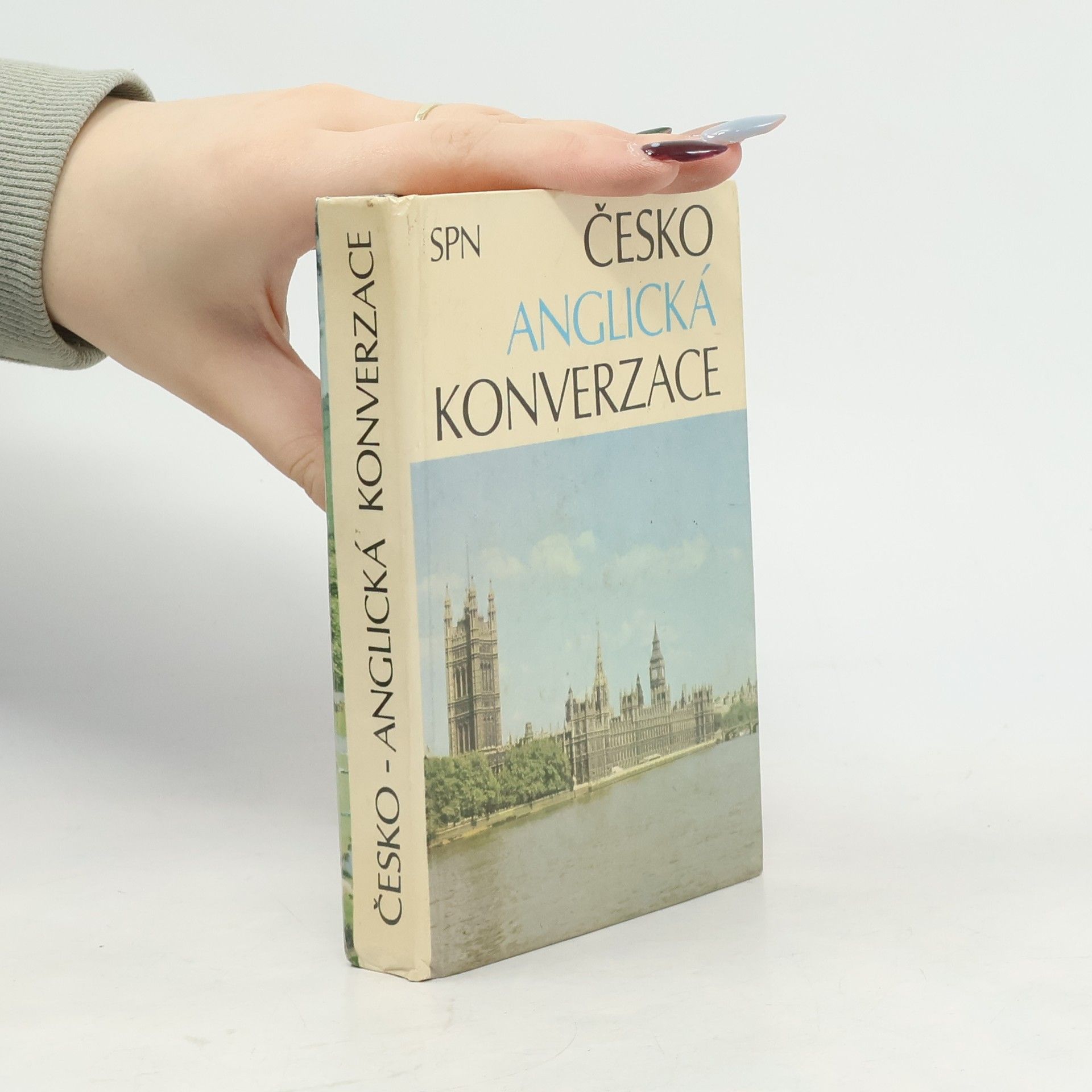 Autorenkollektiv Česko-anglická konverzace