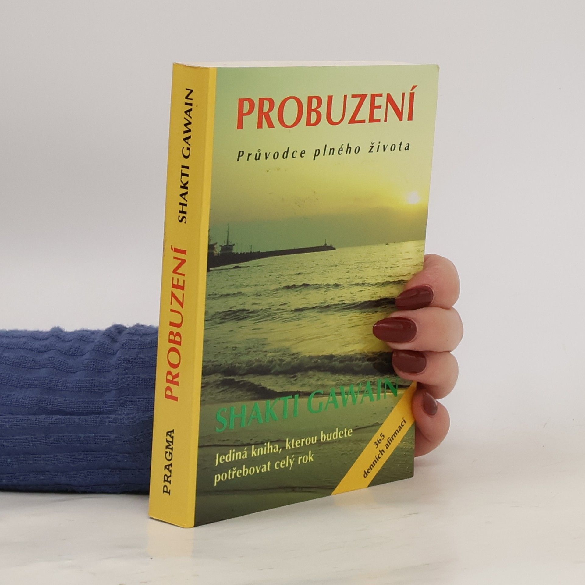 Shakti Gawain Probuzení. Průvodce plného života