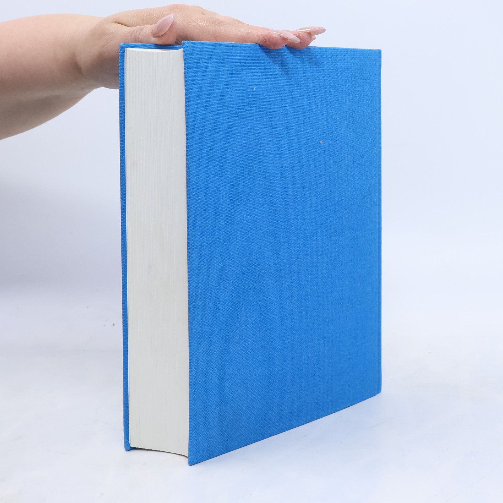 Richard Knerr Knaurs großes Buch der Mathematik