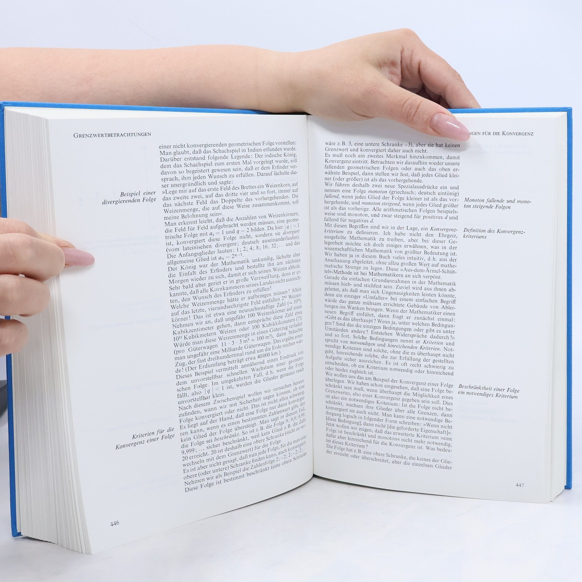 Richard Knerr Knaurs großes Buch der Mathematik
