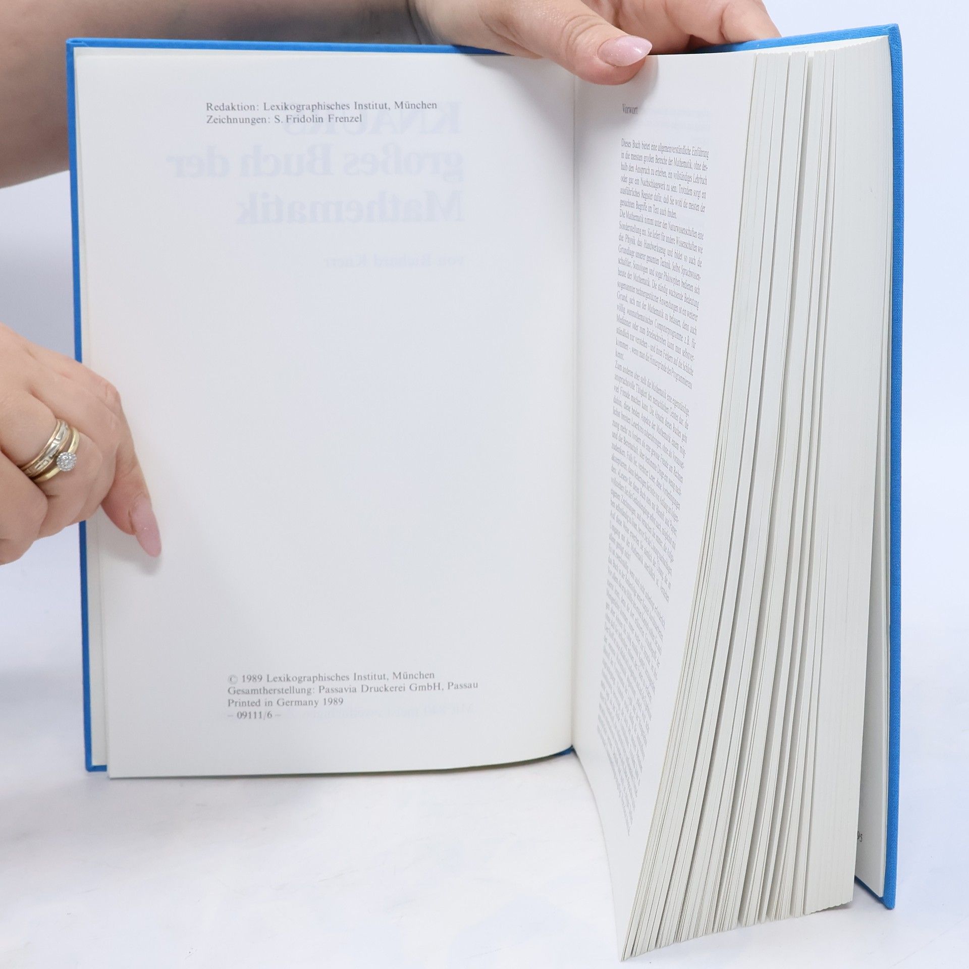 Richard Knerr Knaurs großes Buch der Mathematik