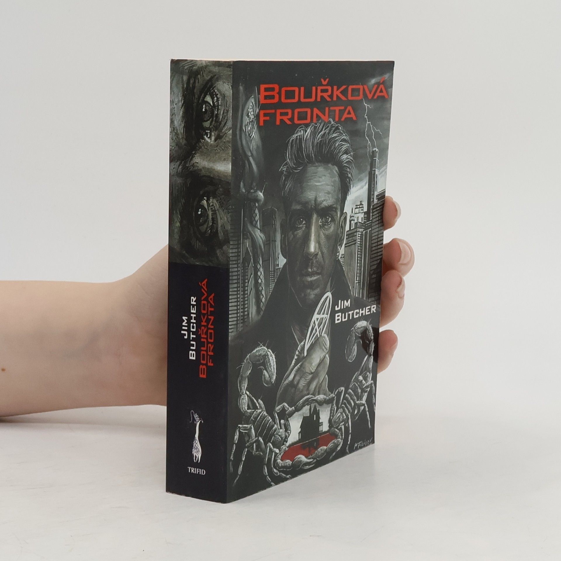 Jim Butcher Bouřková fronta