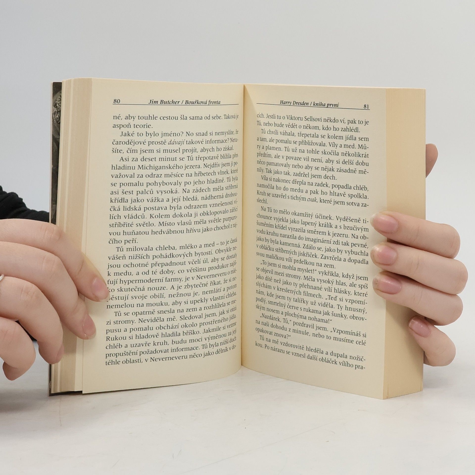 Jim Butcher Bouřková fronta