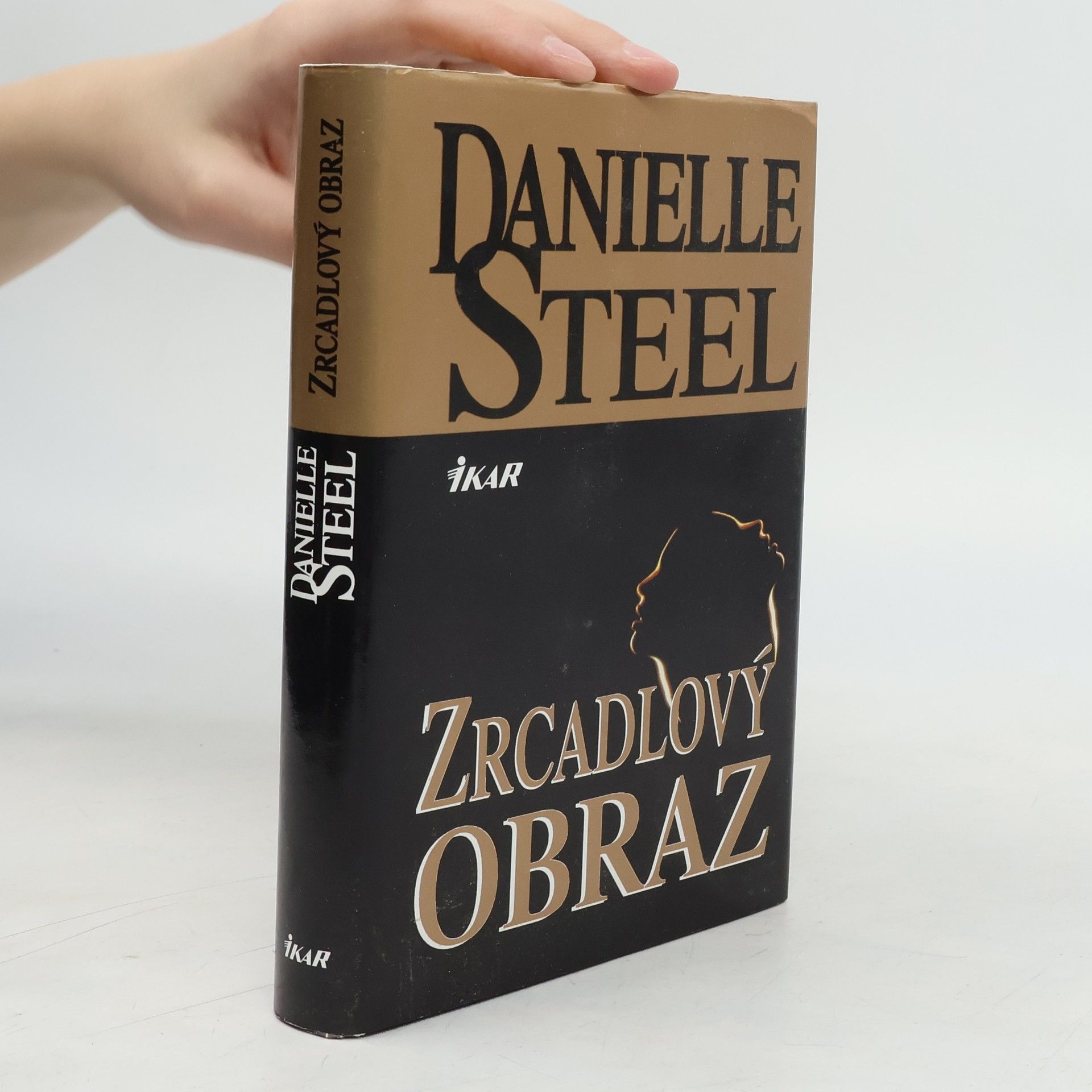 Danielle Steel Zrcadlový obraz