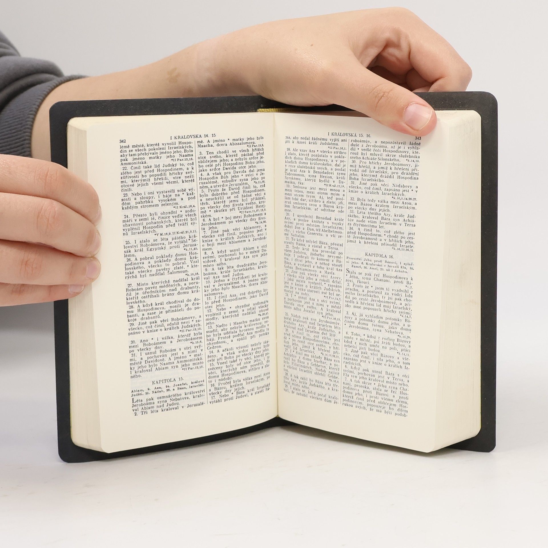 Collectif d'auteurs Bible svatá