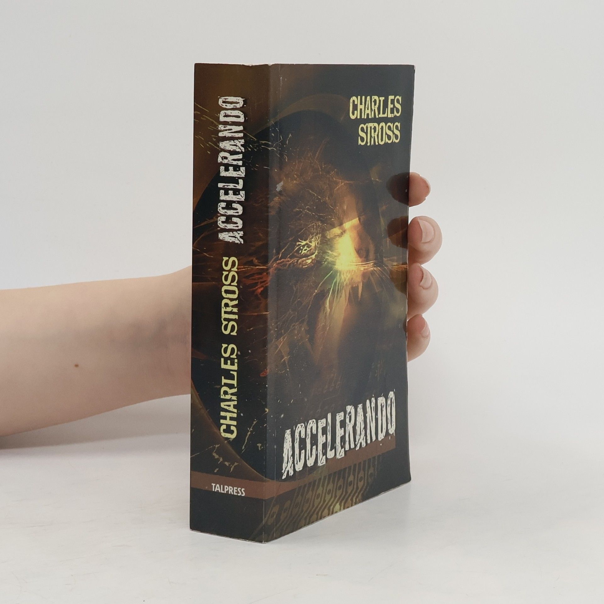 Charles Stross Accelerando