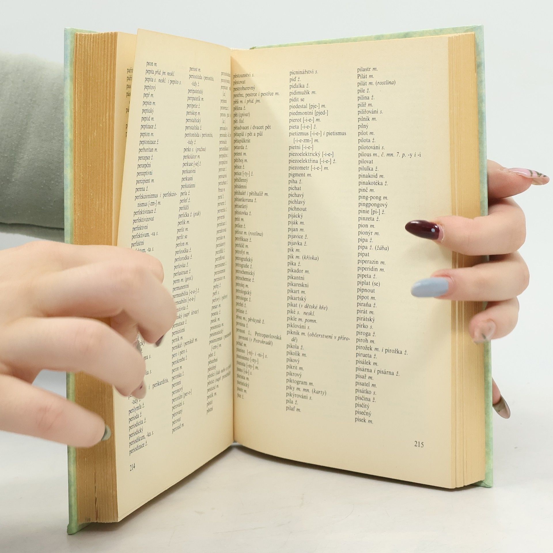 Auteurscollectief Pravidla českého pravopisu