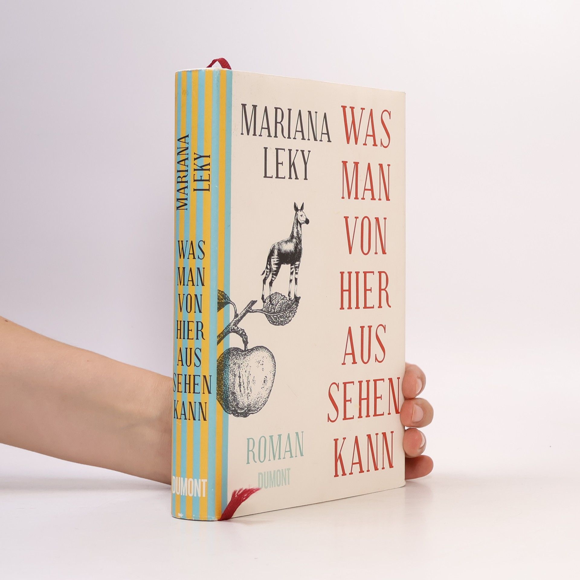 Mariana Leky Was man von hier aus sehen kann