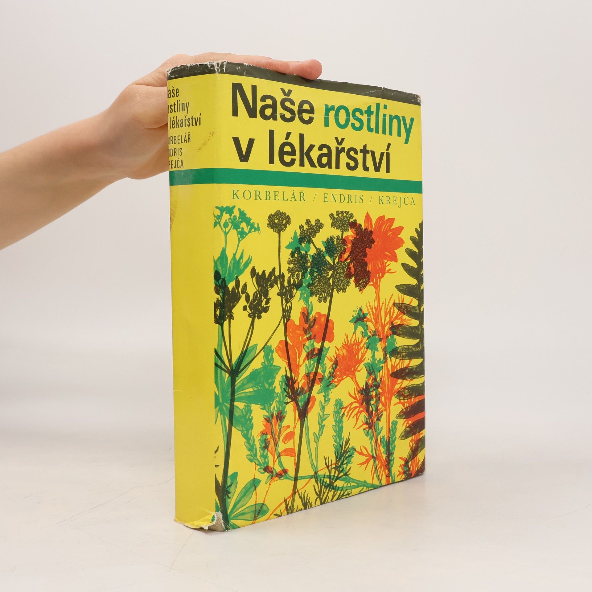 Jaroslav Korbelář Naše rostliny v lékařství