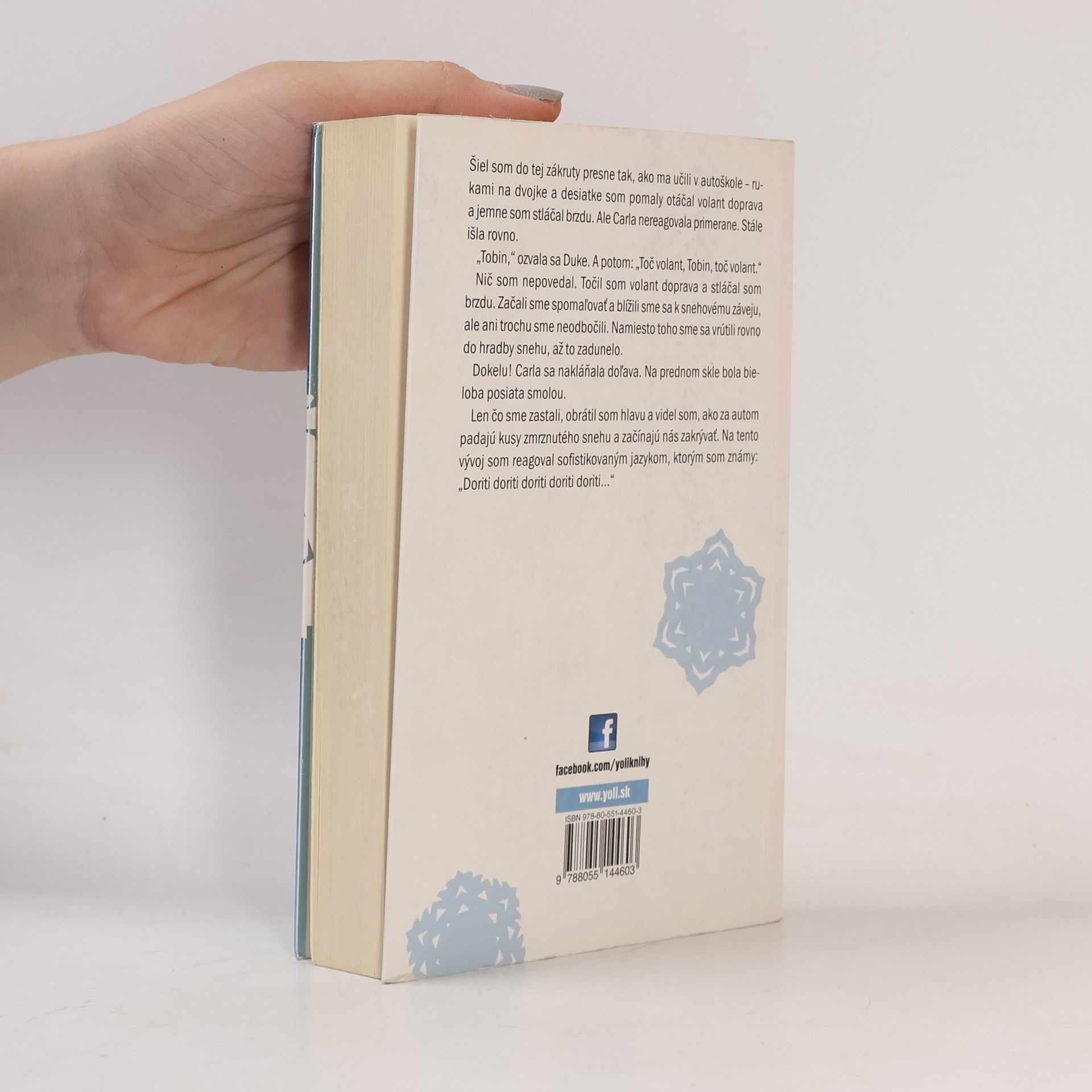 Maureen Johnson Nech sneží