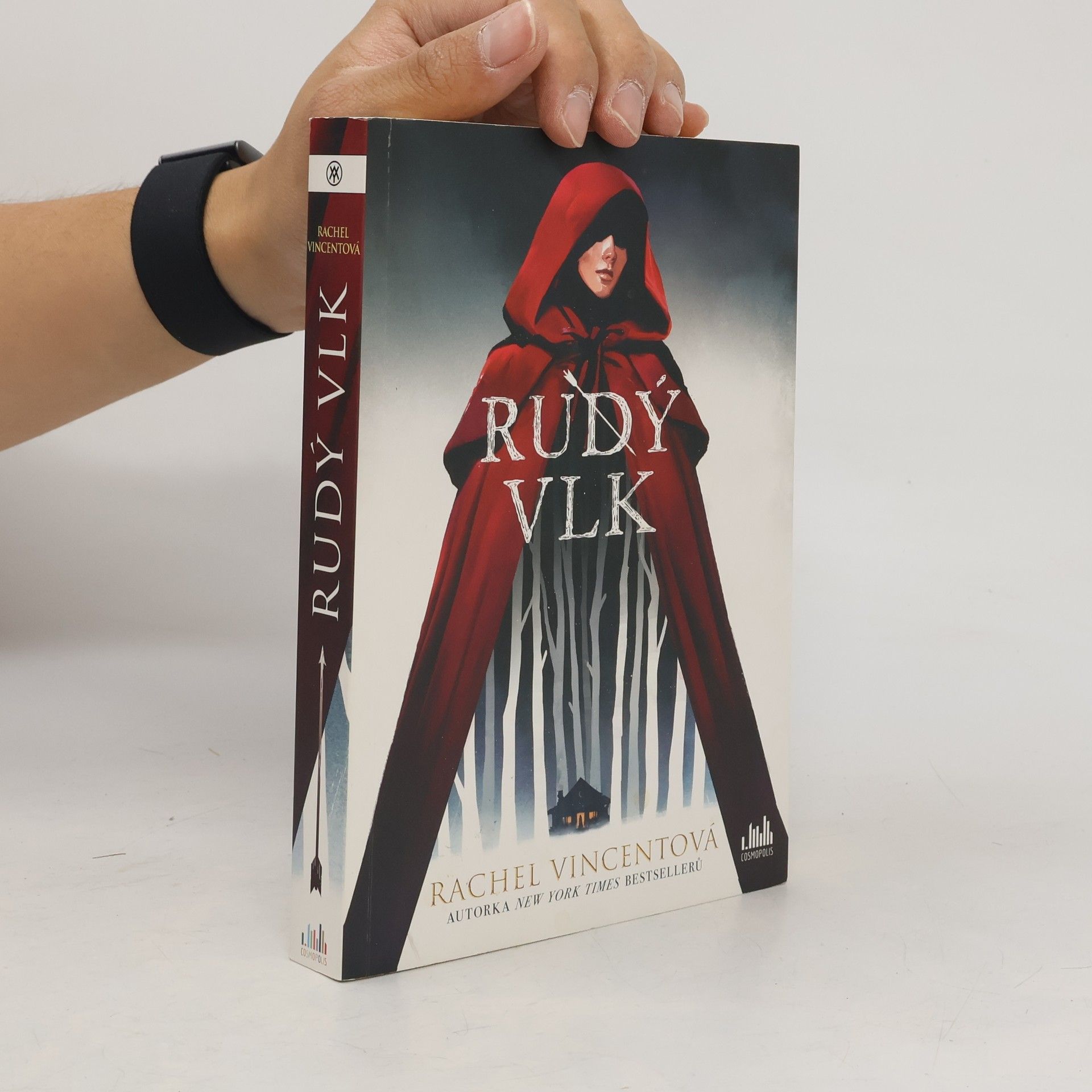 Rachel Vincent Rudý vlk