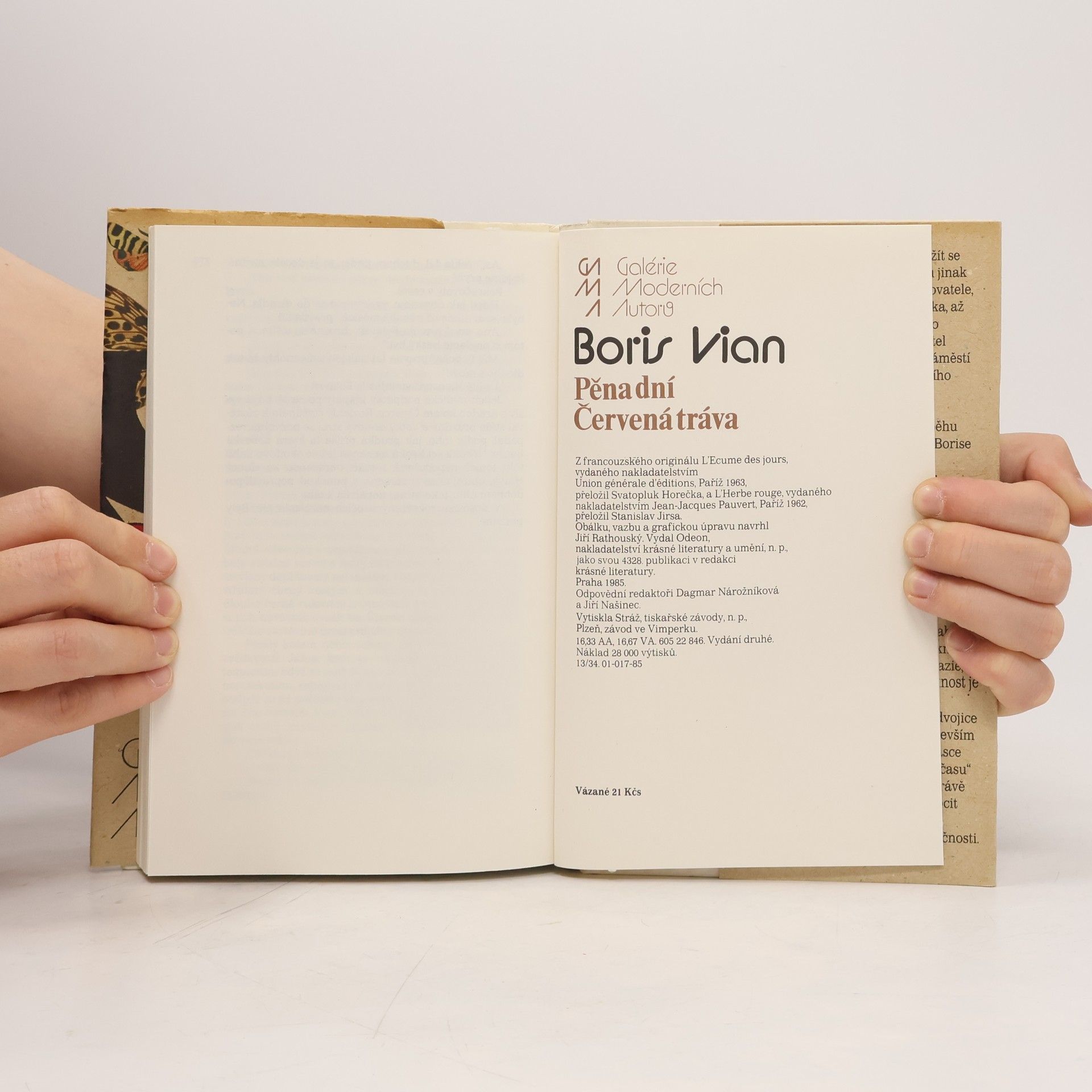 Boris Vian Pěna dní. Červená tráva
