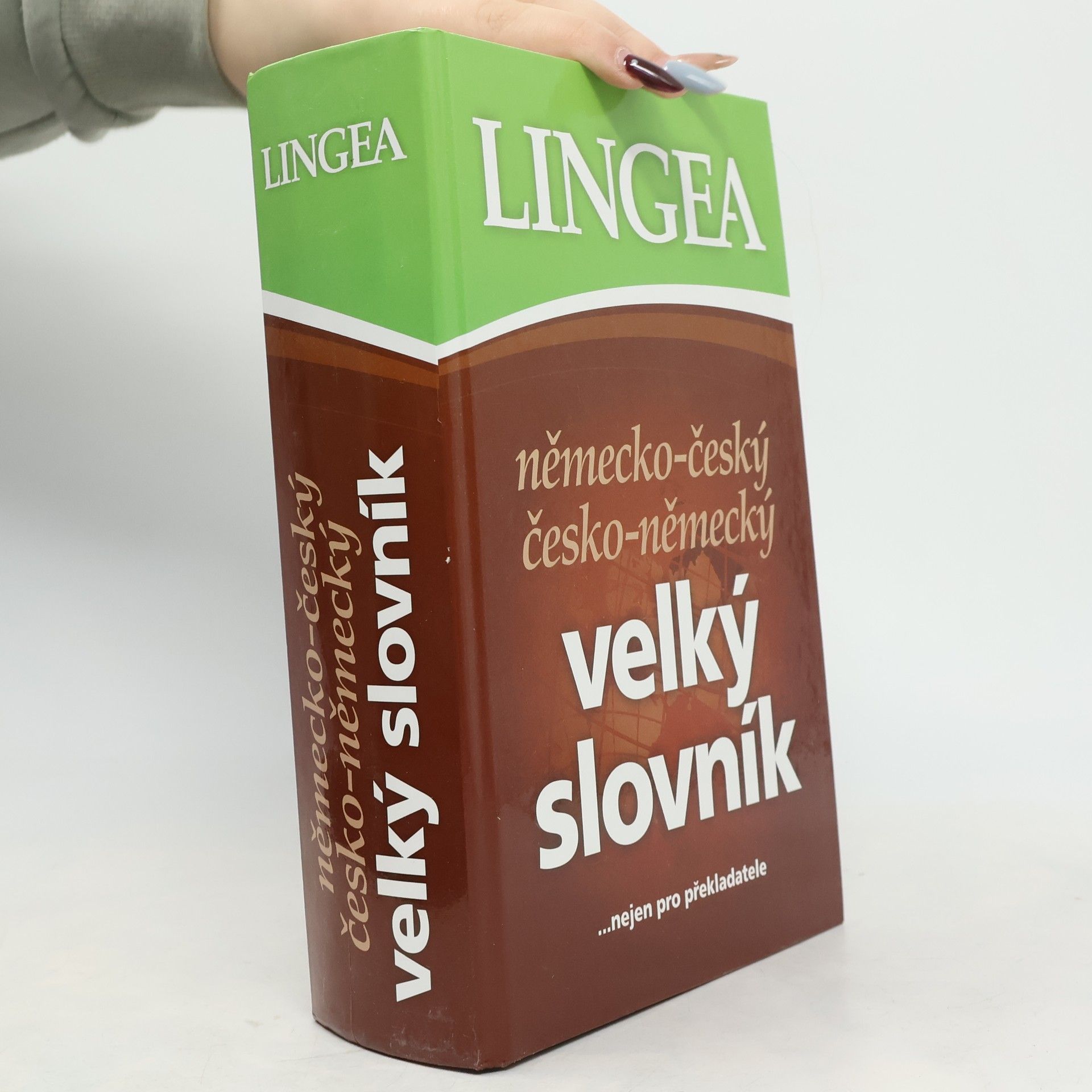 Autorenkollektiv Německo-český, česko-německý velký slovník