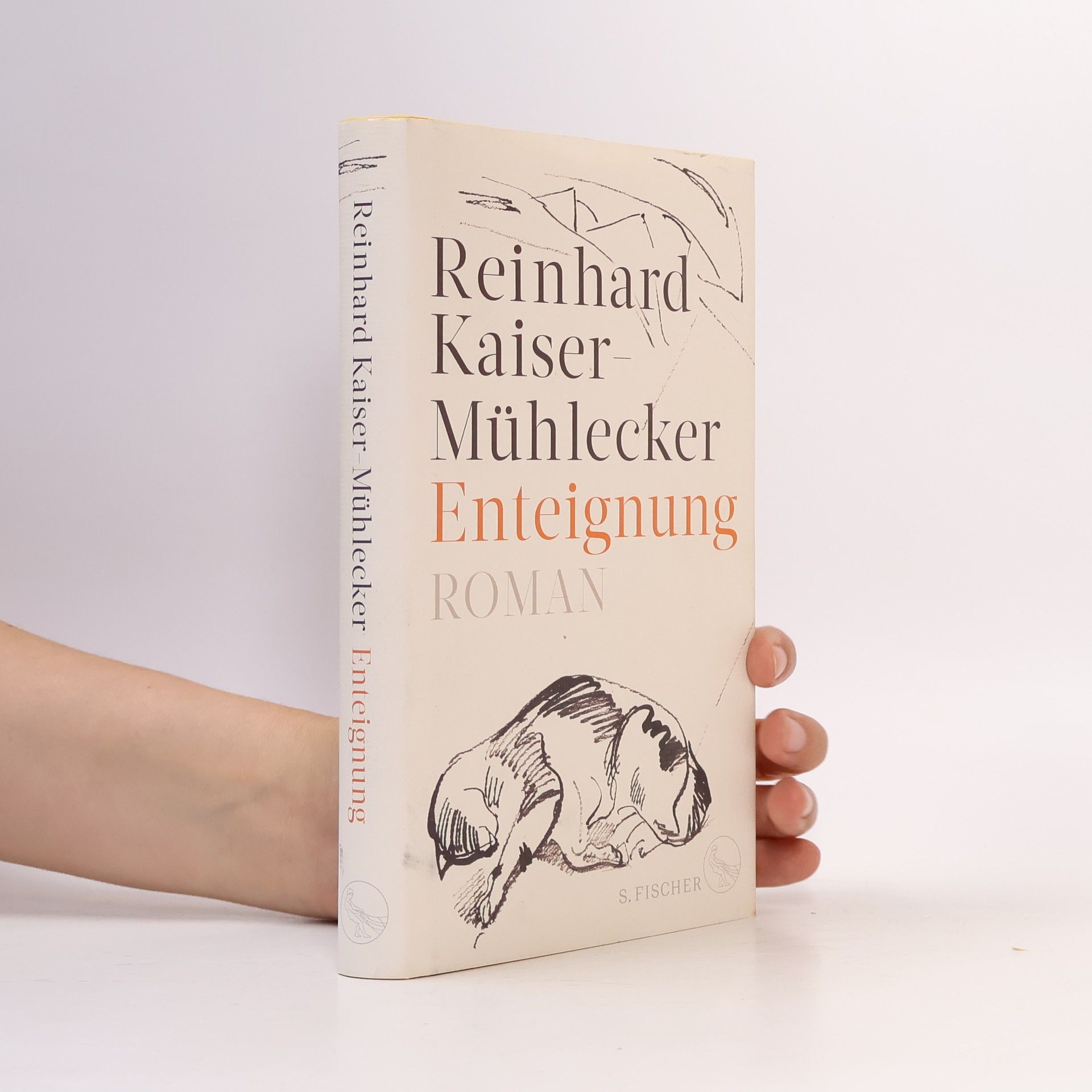 Reinhard Kaiser-Mühlecker Enteignung