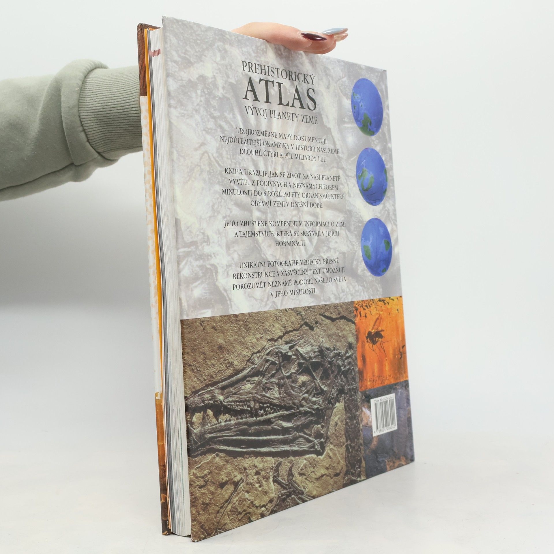 Douglas Palmer Prehistorický atlas - Vývoj planety Země